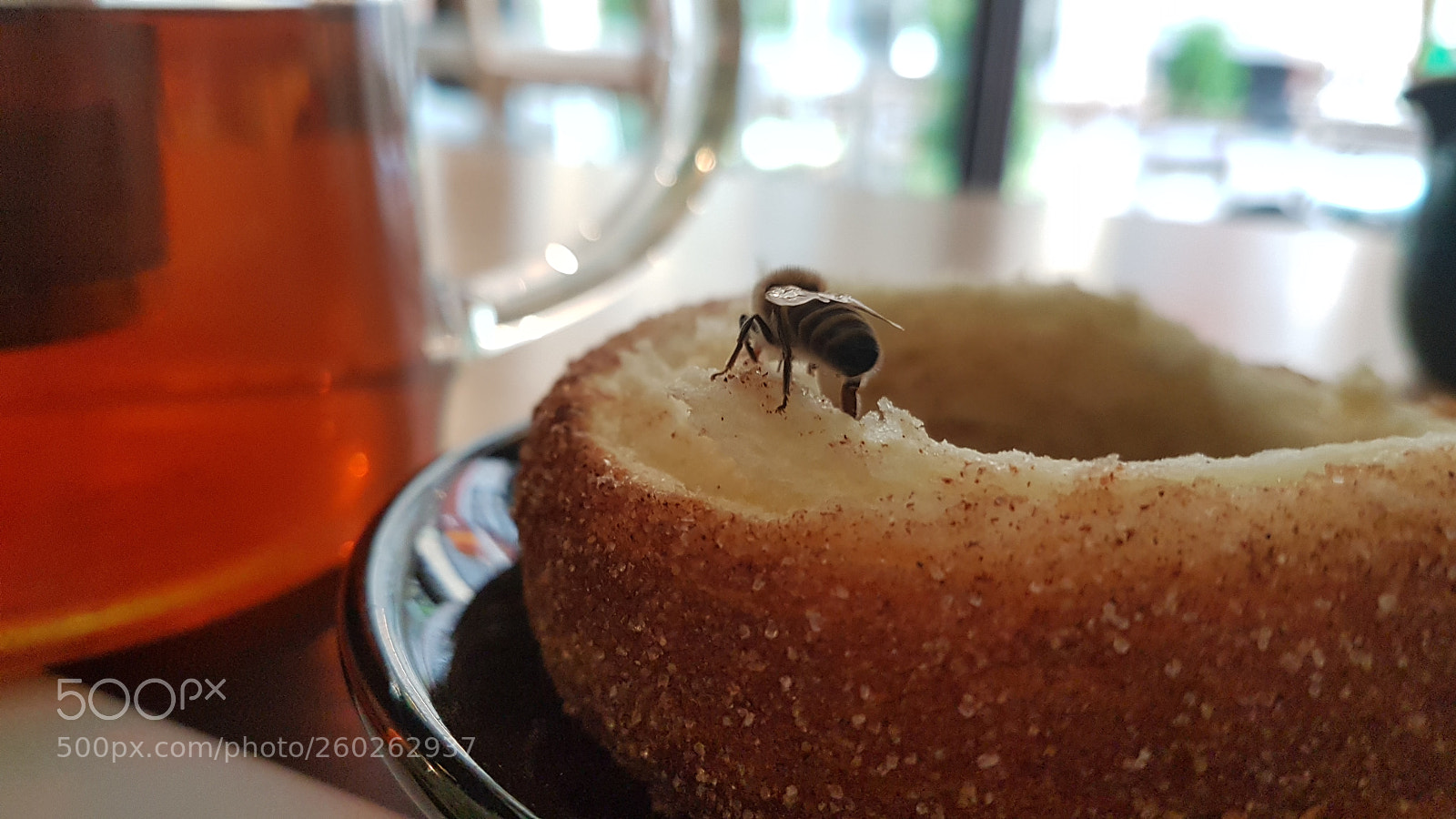 Samsung Galaxy S7 sample photo. Waiter, there's a bee photography