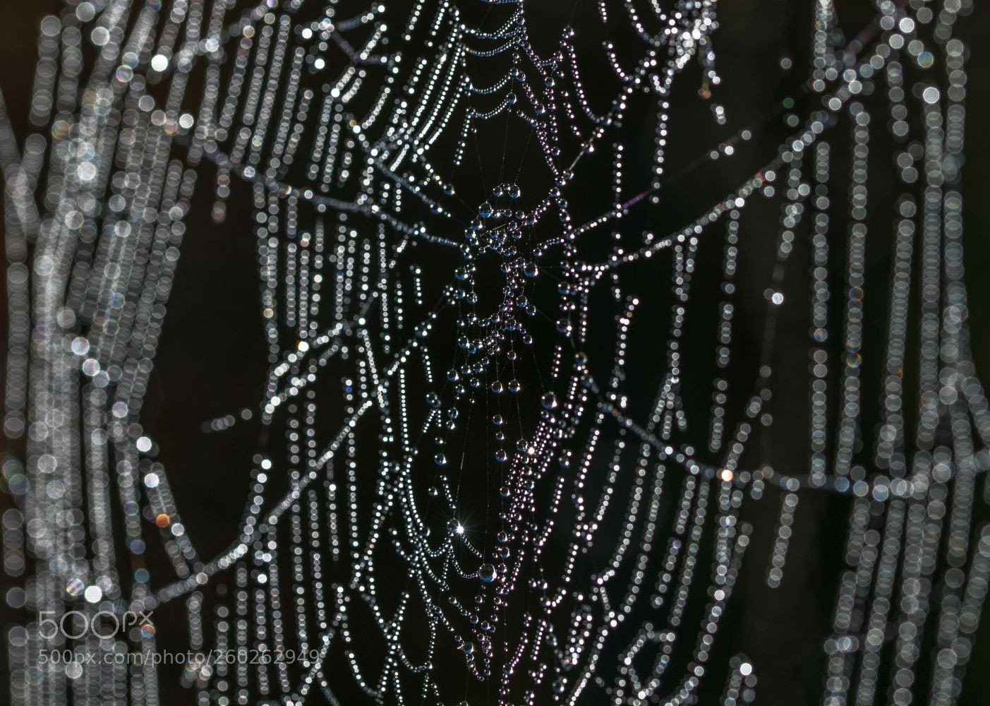 Canon EOS 7D Mark II sample photo. Jewel drops photography
