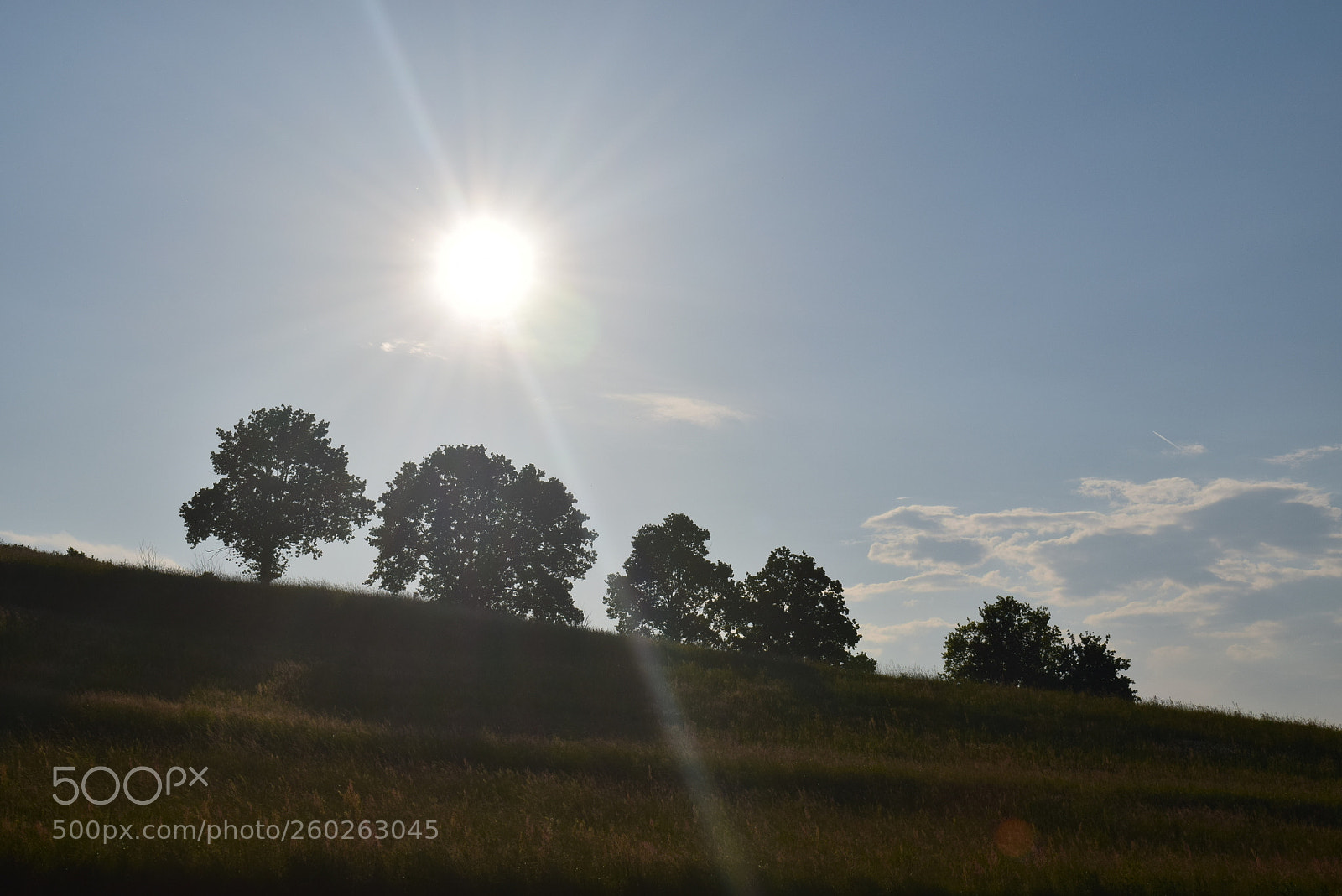 Nikon D3300 sample photo. 5 (u suncu) photography