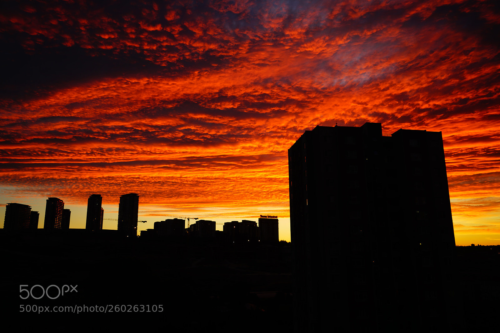 Sony a7R II sample photo. Sunset  photography