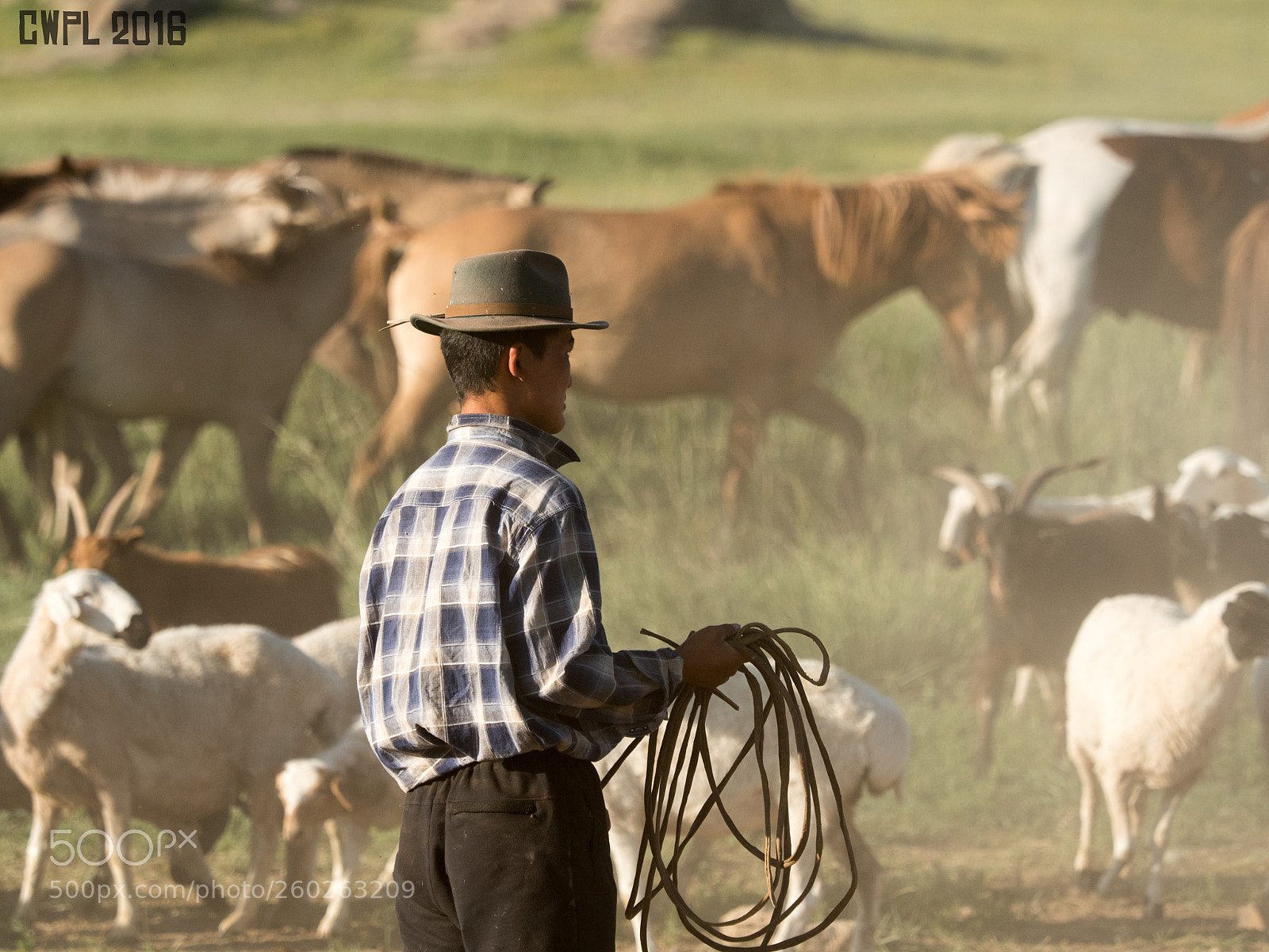 Panasonic Lumix DMC-GH4 sample photo. Nomadic cowboy photography