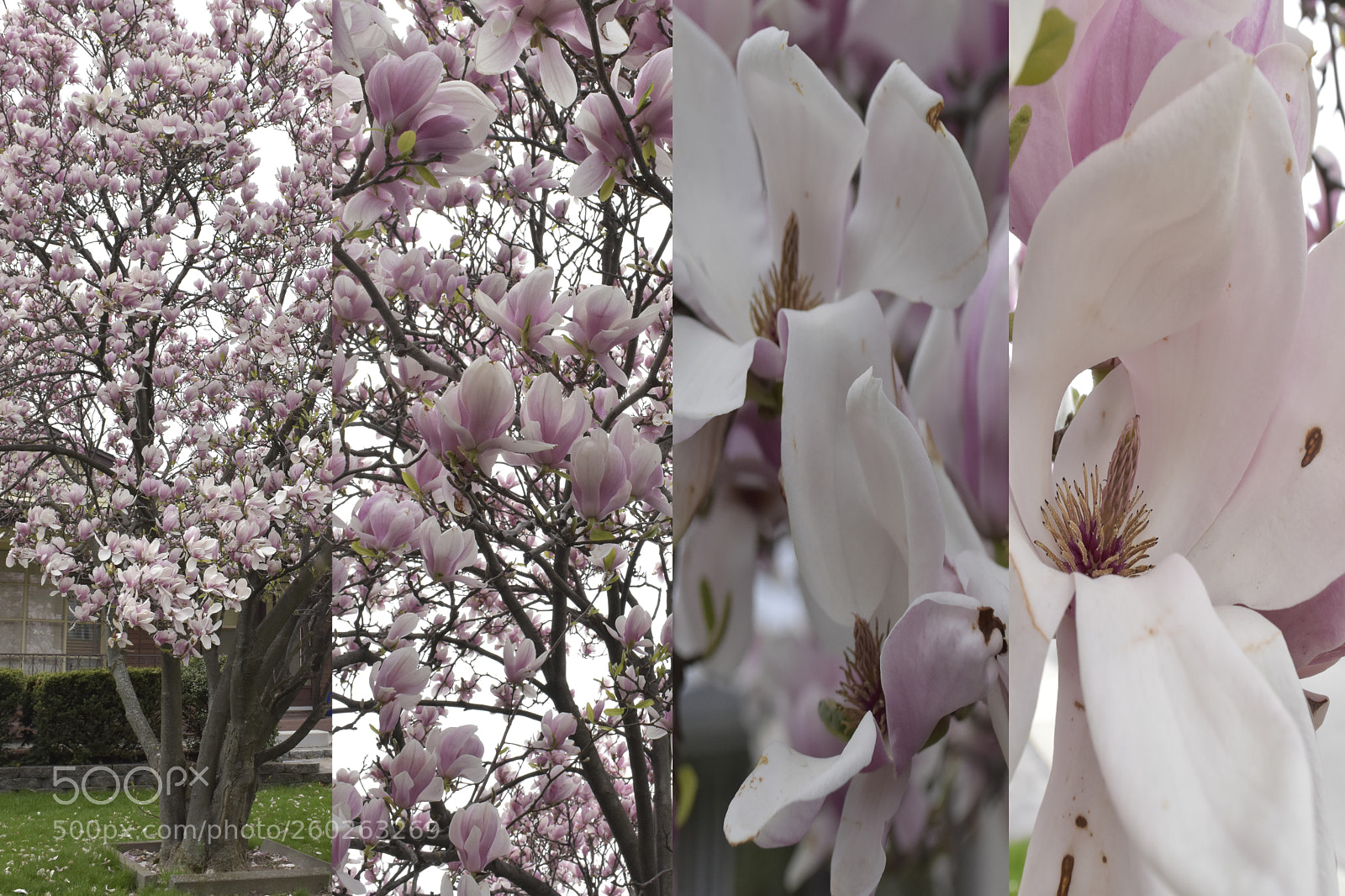 Nikon D3400 sample photo. True story photography