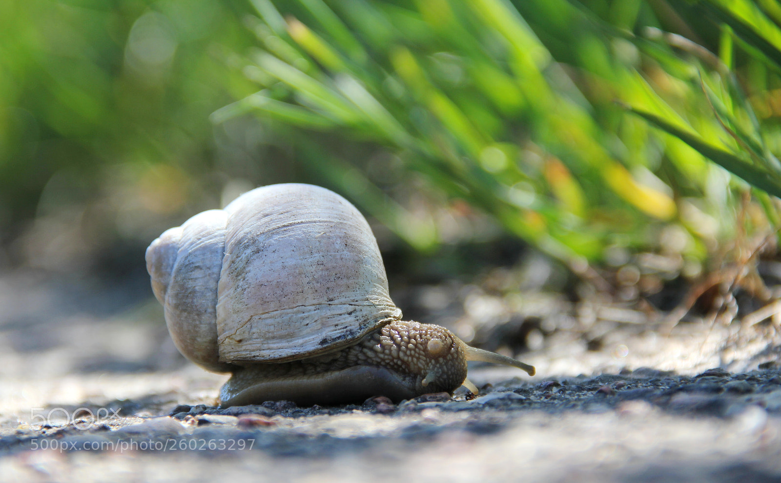 Canon EF-S 18-135mm F3.5-5.6 IS sample photo. Blonde :)))) photography