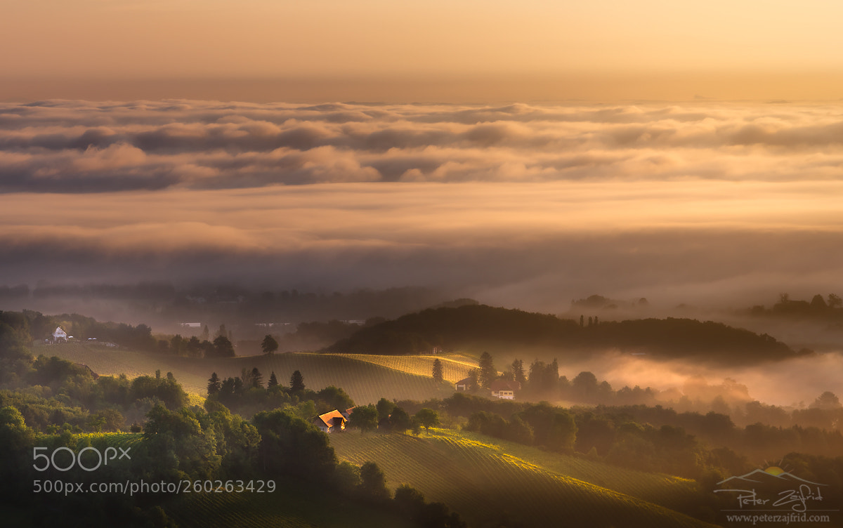 Nikon D810 sample photo. Morning shine photography