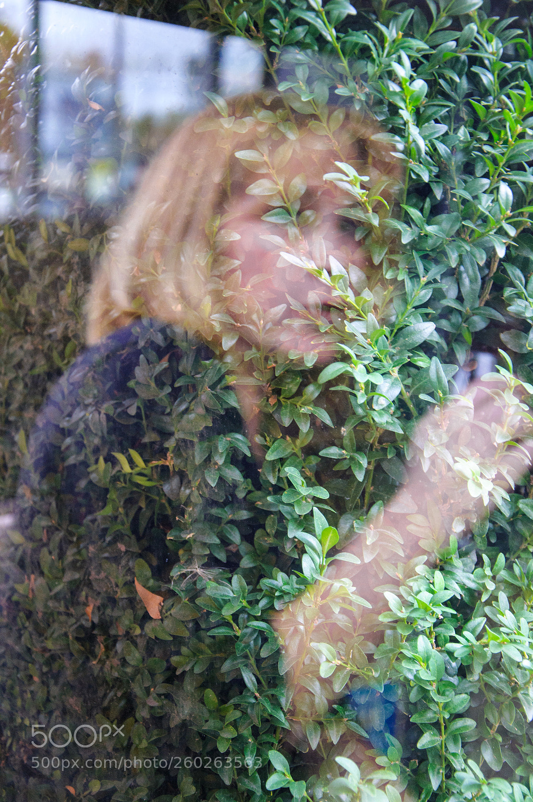 Nikon D300S sample photo. Femme feuille photography