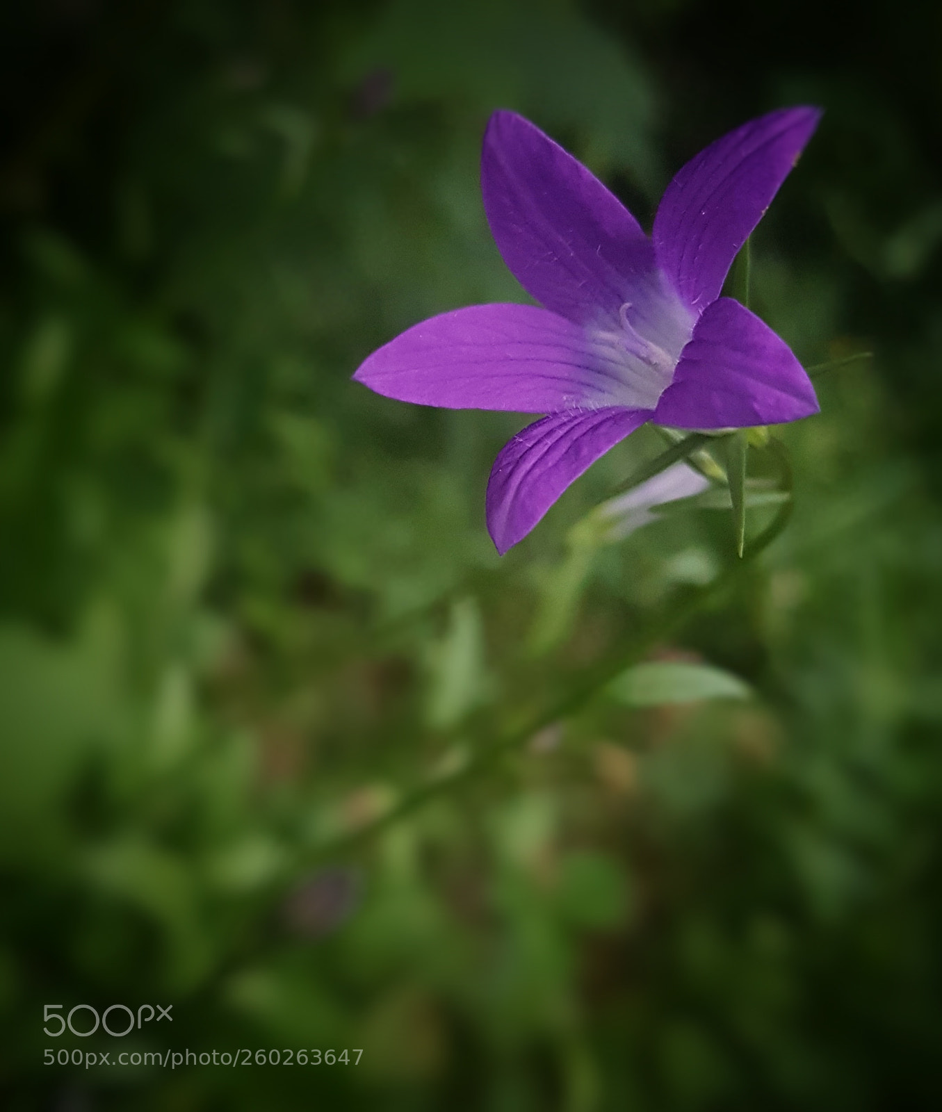 Samsung Galaxy S7 sample photo. Untitled photography