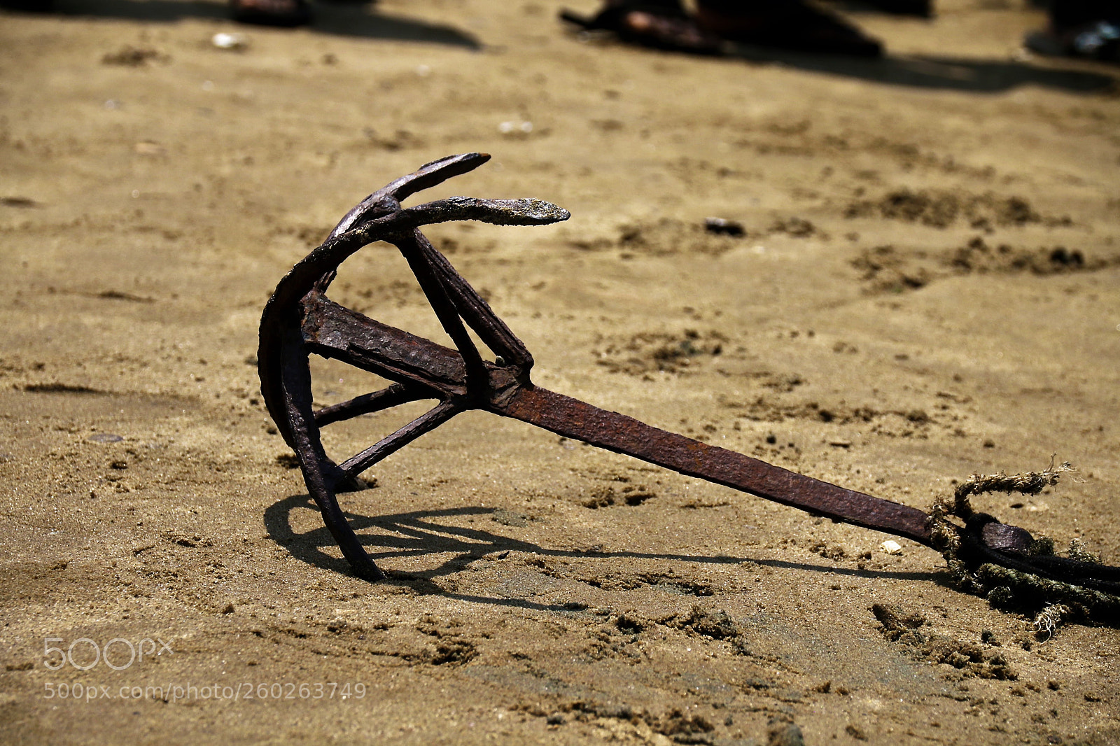 Canon EOS 70D sample photo. Rusted anchor photography