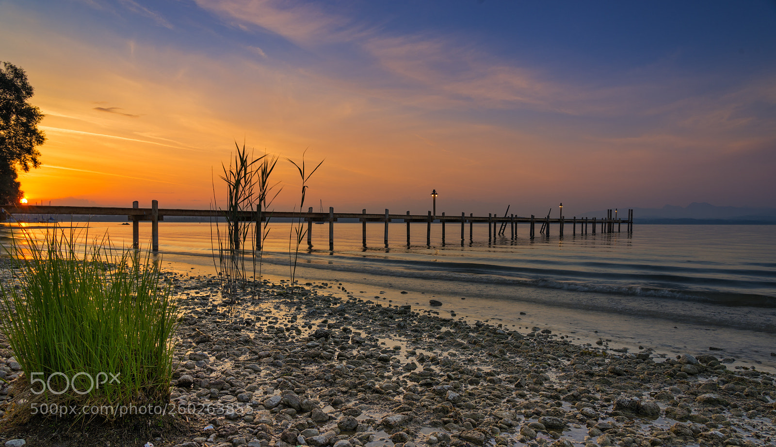 Sony a7 II sample photo. Gras in sunrise photography