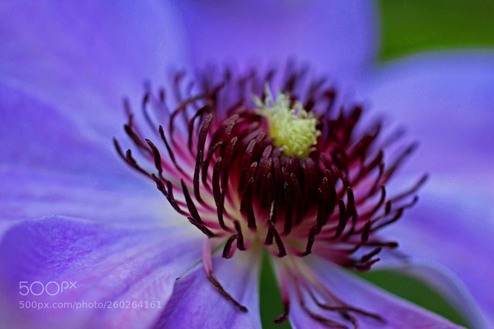 Canon EOS 700D (EOS Rebel T5i / EOS Kiss X7i) sample photo. A path to redemption photography