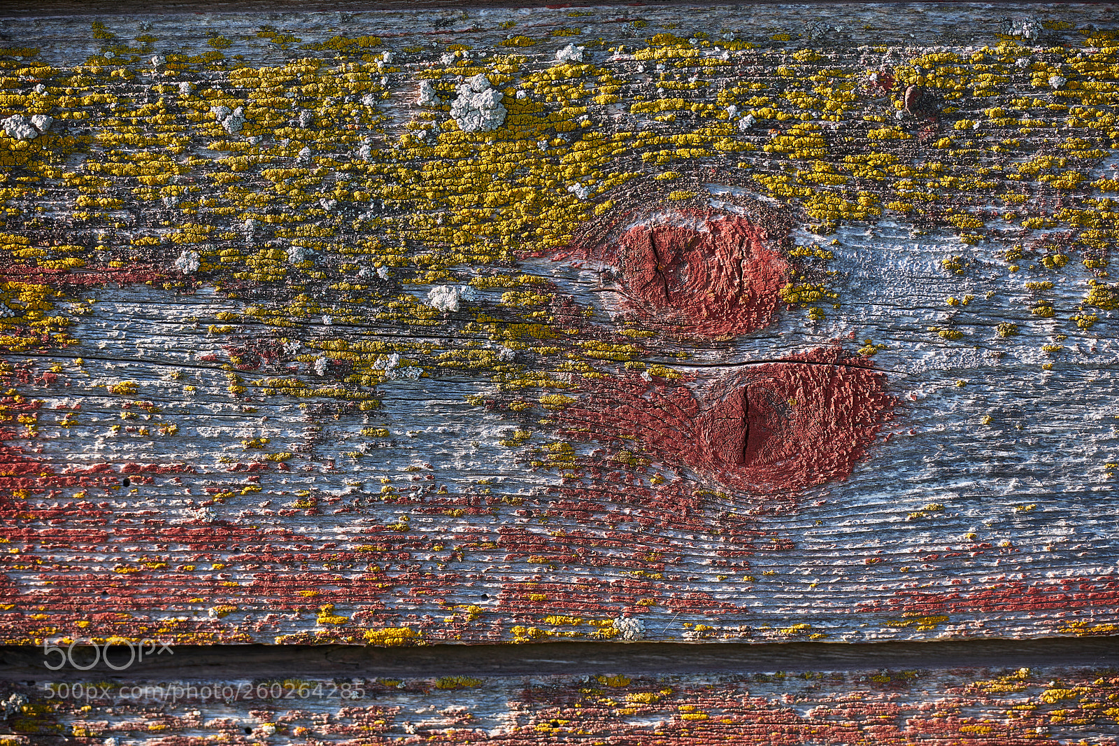 Nikon D850 sample photo. Granary boards photography