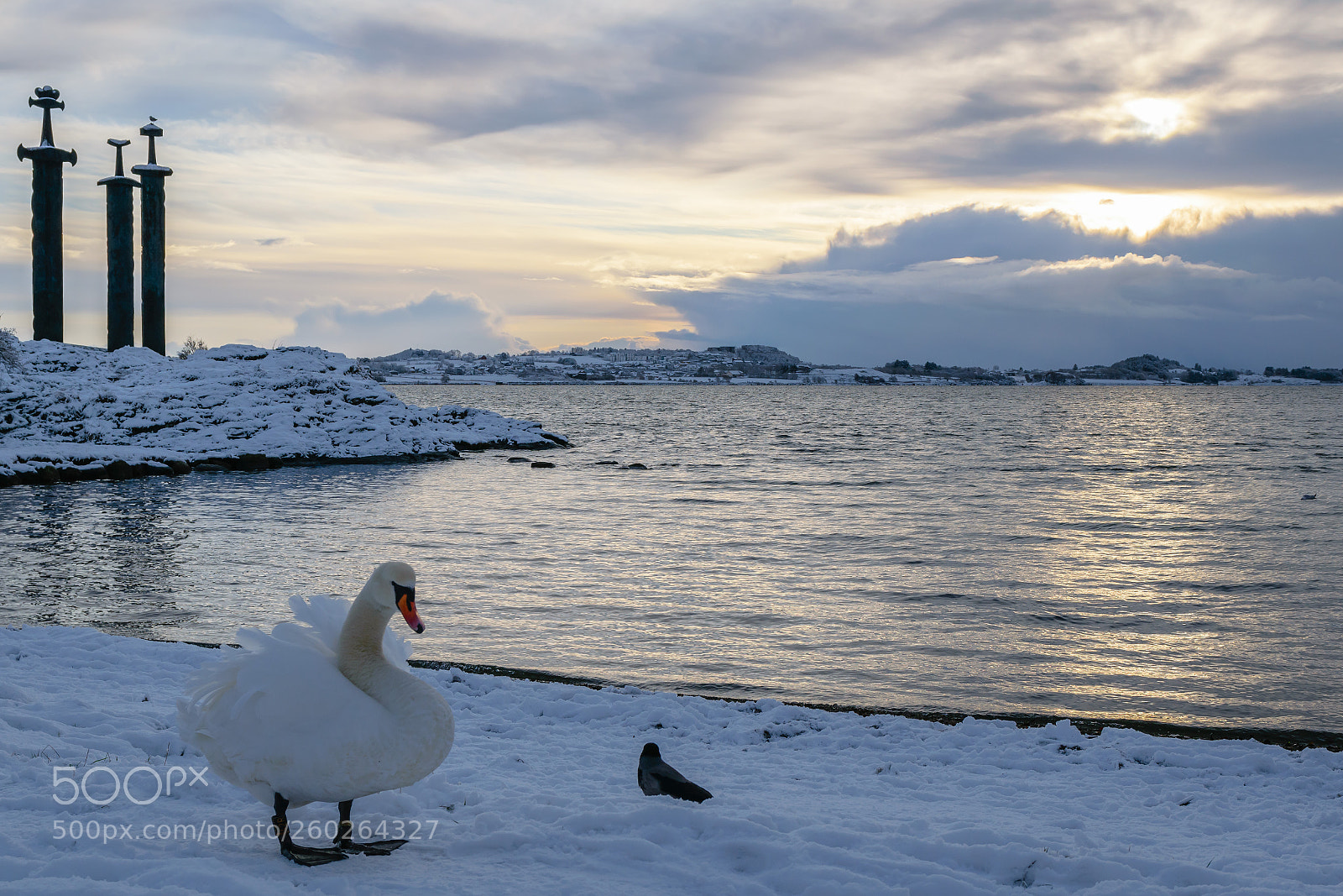 Nikon D3300 sample photo. Swords & swan photography