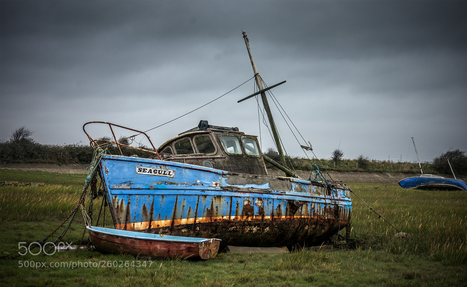 Nikon D7200 sample photo. Wreck of the seagull photography