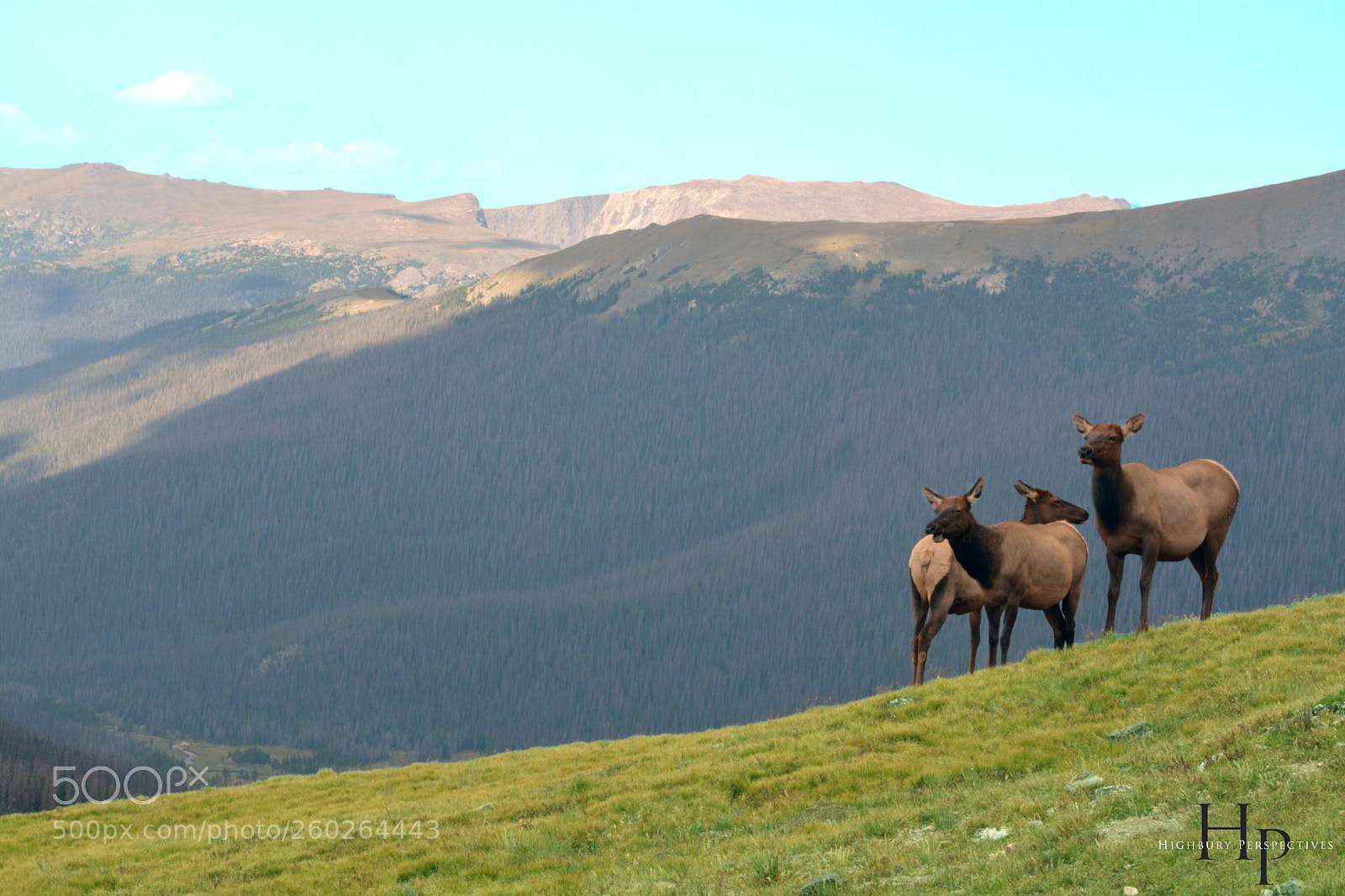 Nikon D7100 sample photo. Mountain life, rocky mountain photography