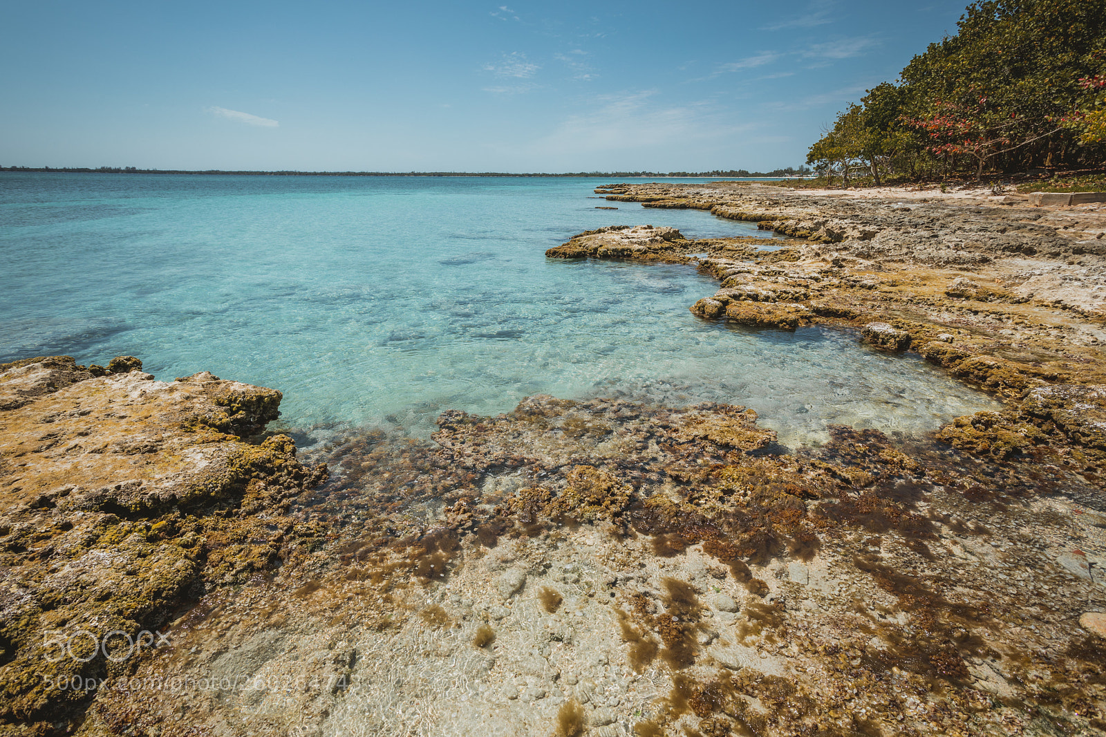 Canon EOS 5D Mark IV sample photo. Bay of pigs photography