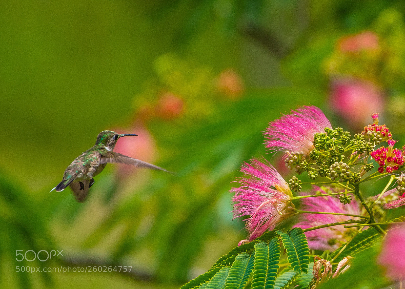 Canon EOS 5DS R sample photo. Working the wind photography