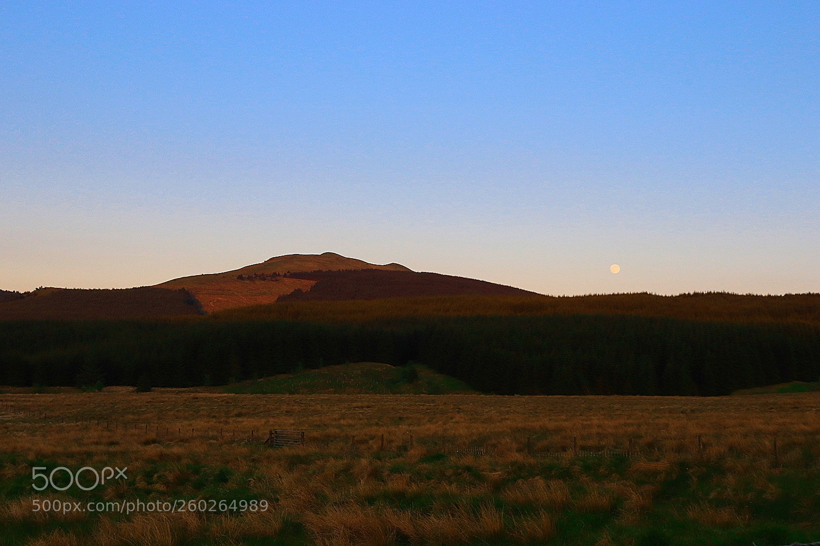 Canon EOS 77D (EOS 9000D / EOS 770D) sample photo. Moon rising photography