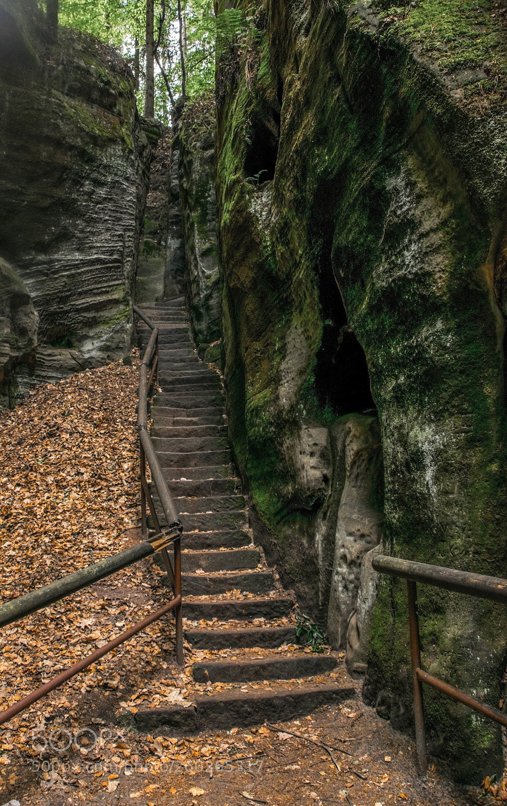 Nikon D5300 sample photo. Bohemian paradise photography