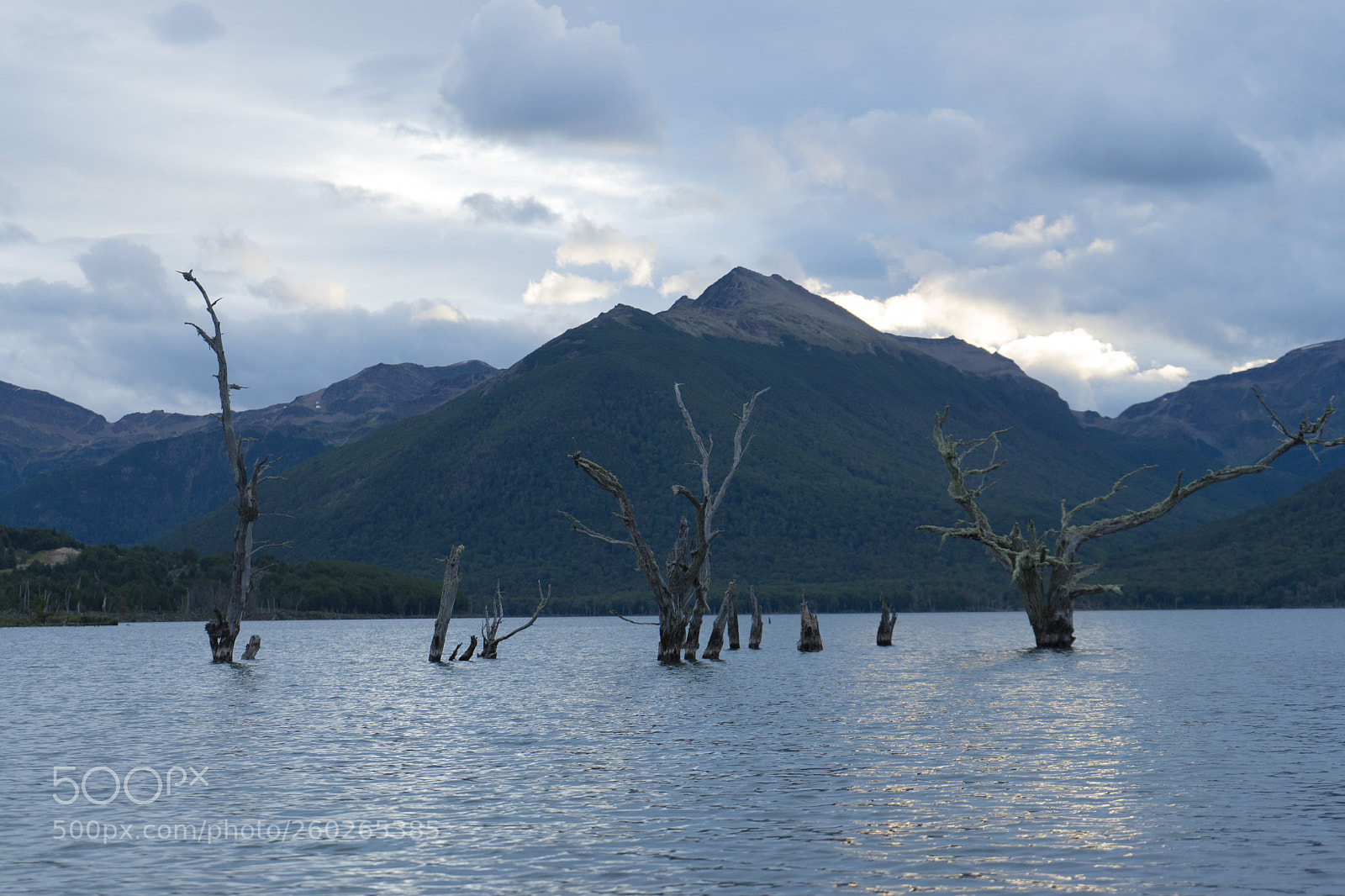 Sony a7 II sample photo. Dsc photography