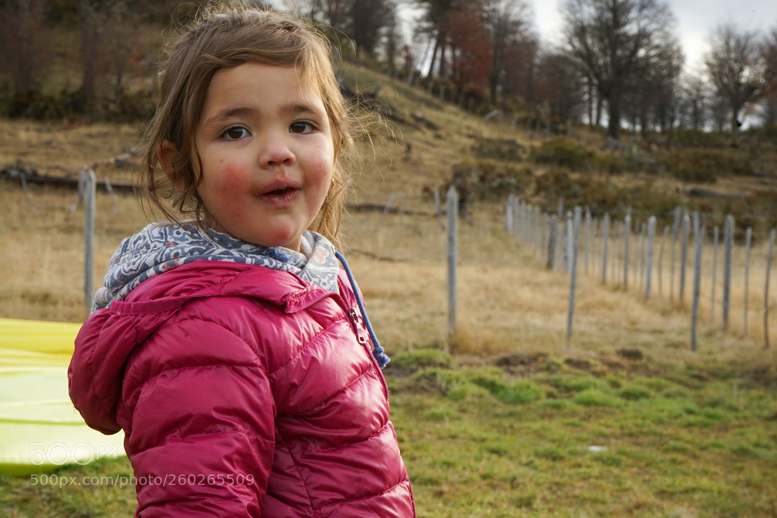 Sony a7 II sample photo. Dsc photography