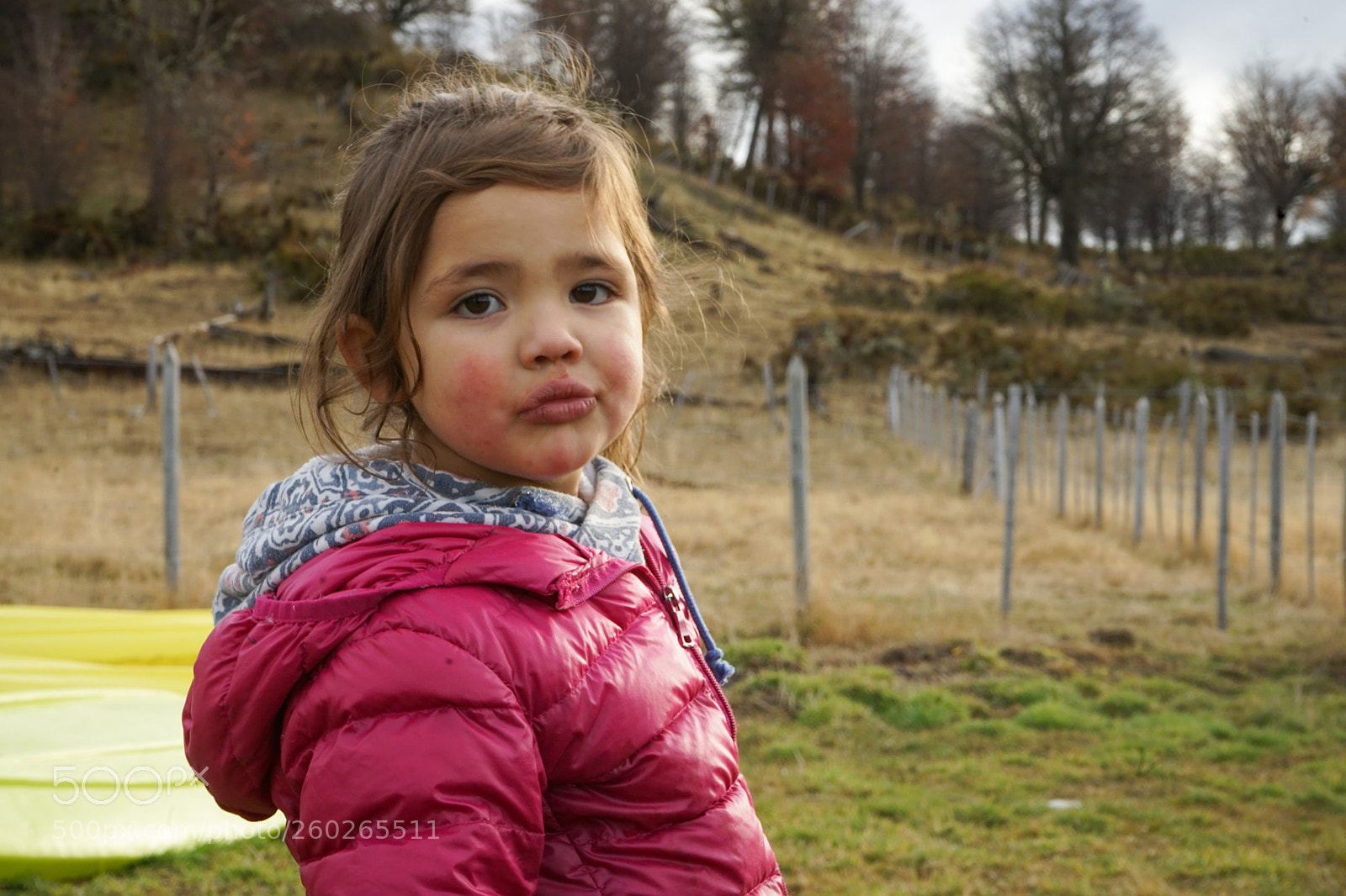 Sony a7 II sample photo. Dsc photography