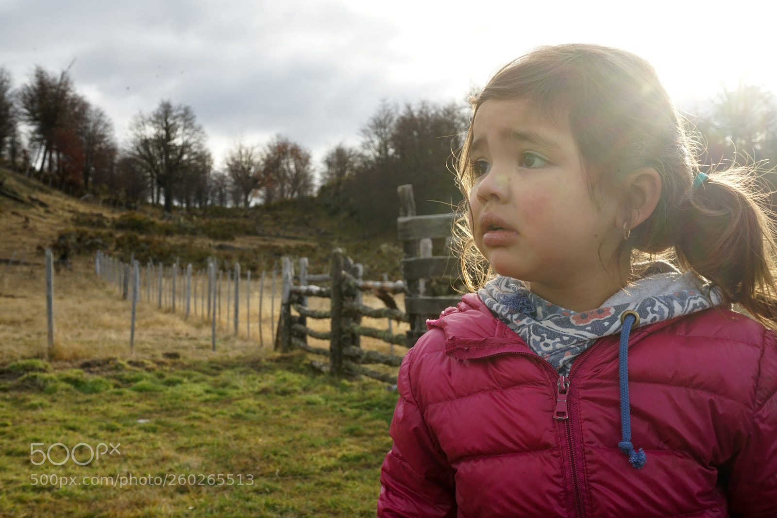 Sony a7 II sample photo. Dsc photography