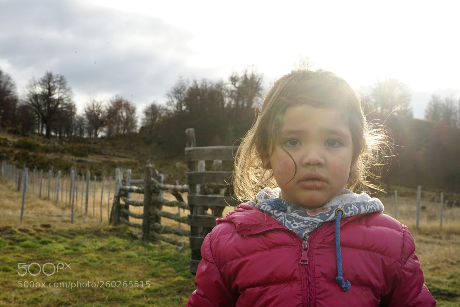 Sony a7 II sample photo. Dsc photography