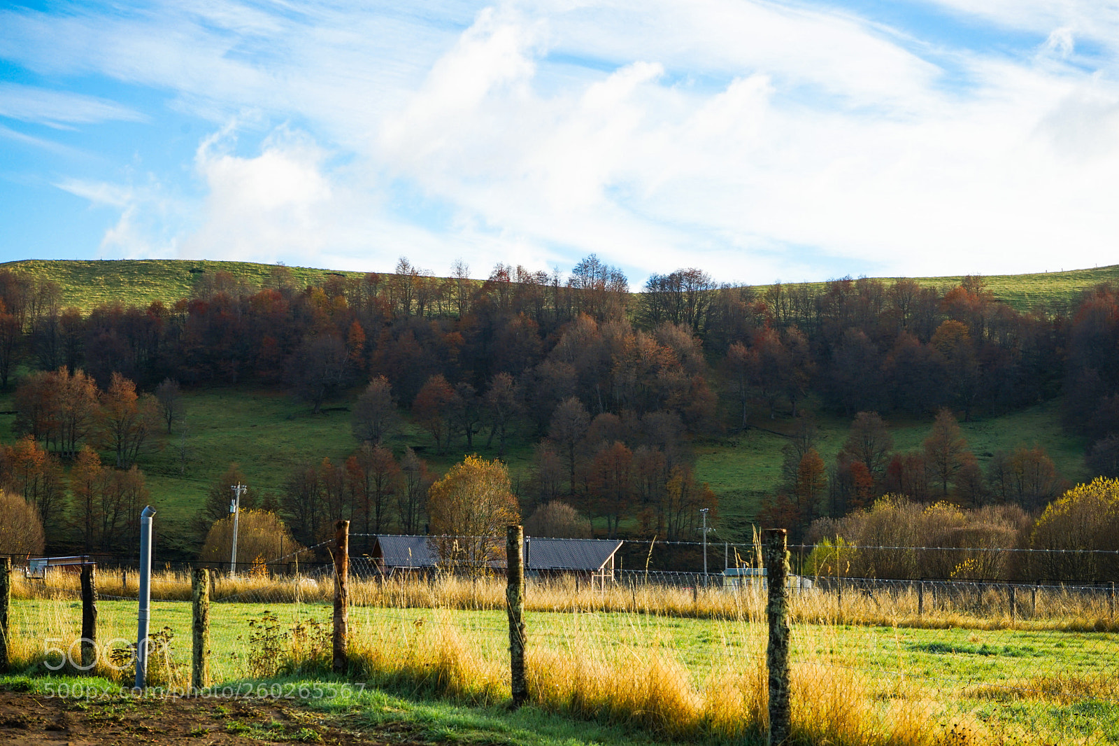 Sony a7 II sample photo. Dsc photography