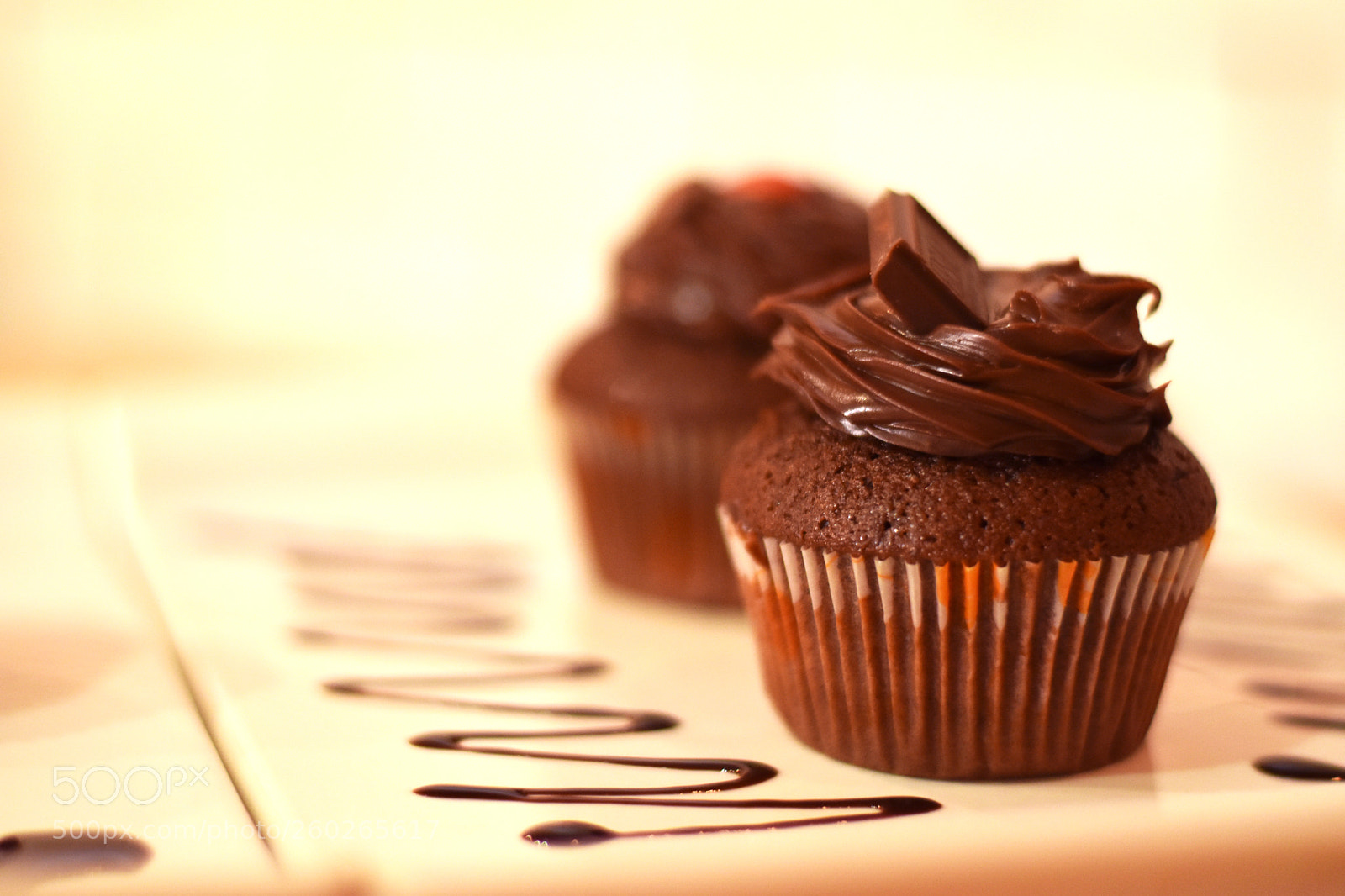 Nikon D5600 sample photo. Muffins photography