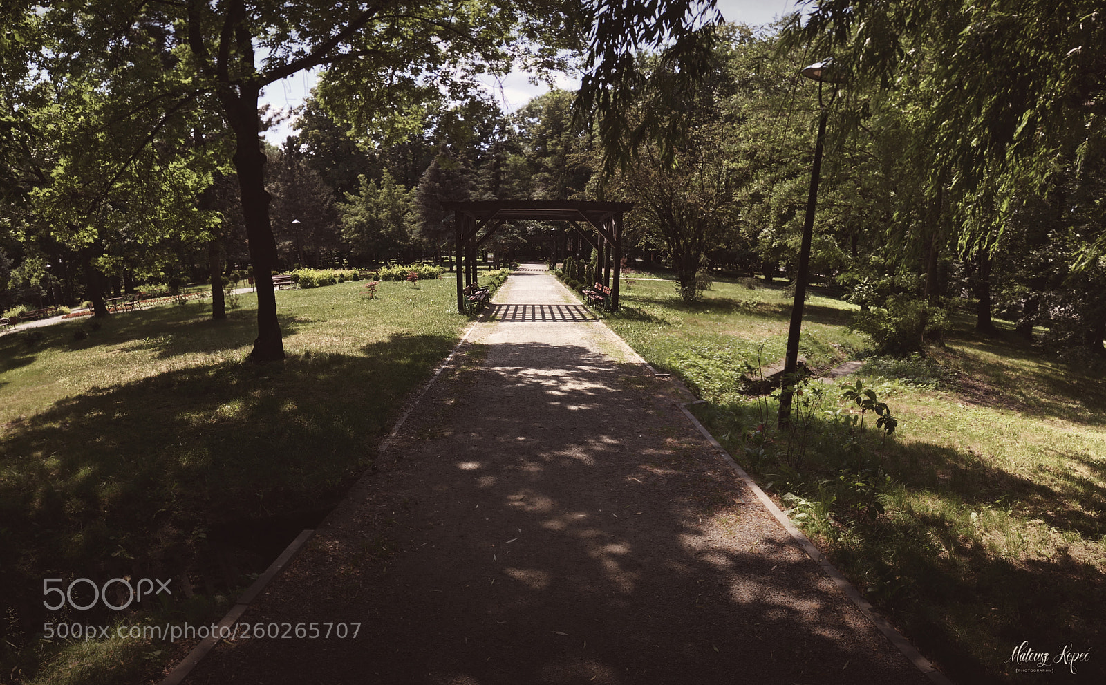 Apple iPhone SE sample photo. Panorama in my park photography