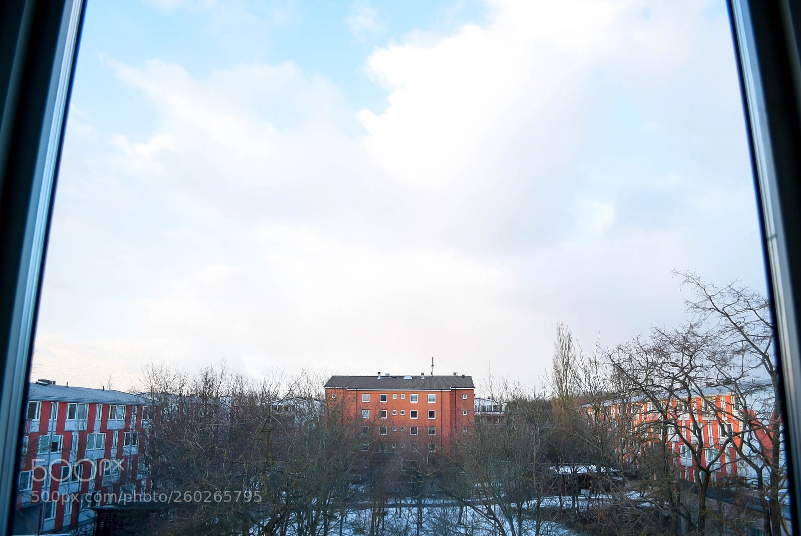Nikon D750 sample photo. March photography