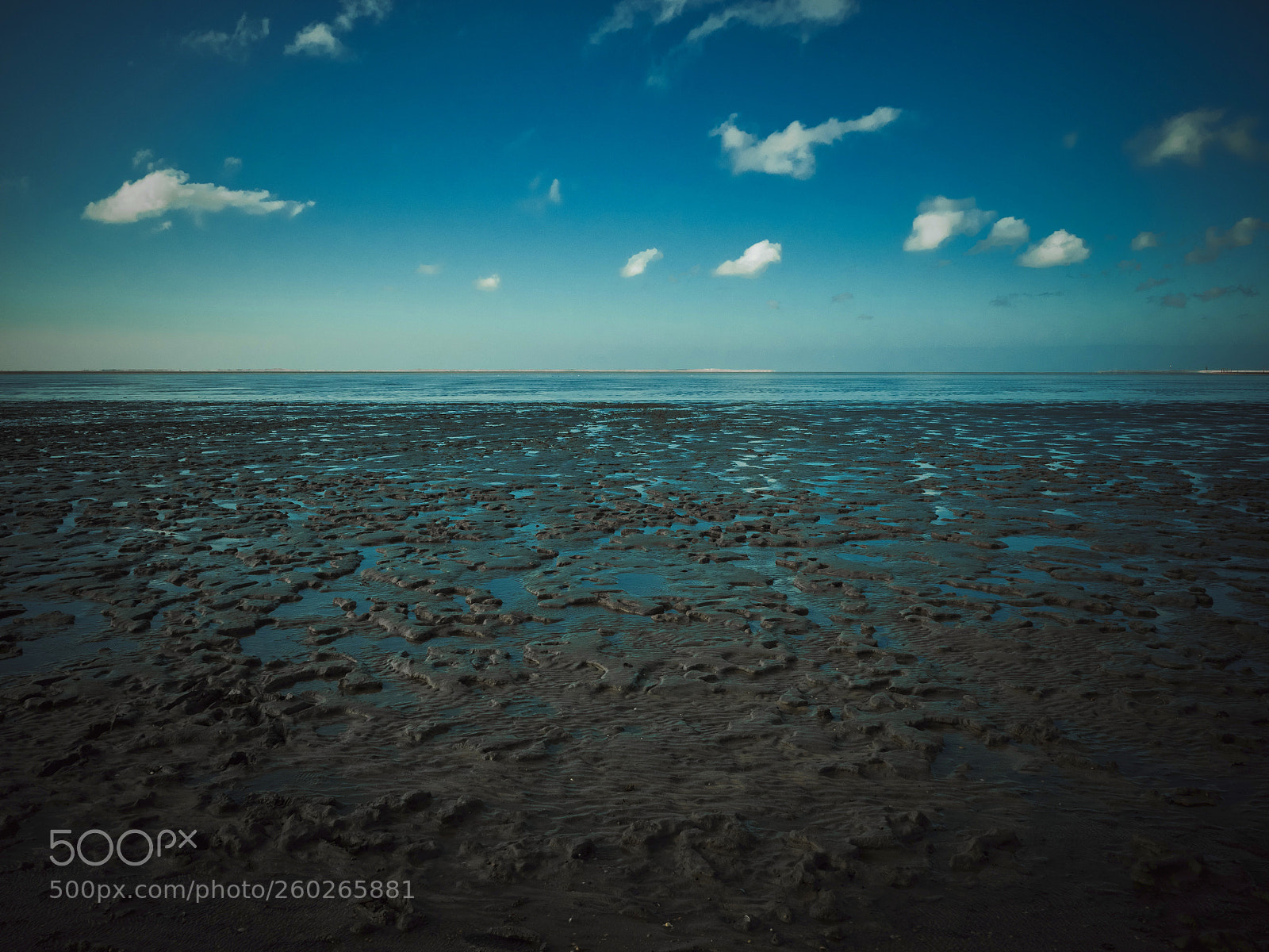 Olympus OM-D E-M1 Mark II sample photo. Mudflat photography