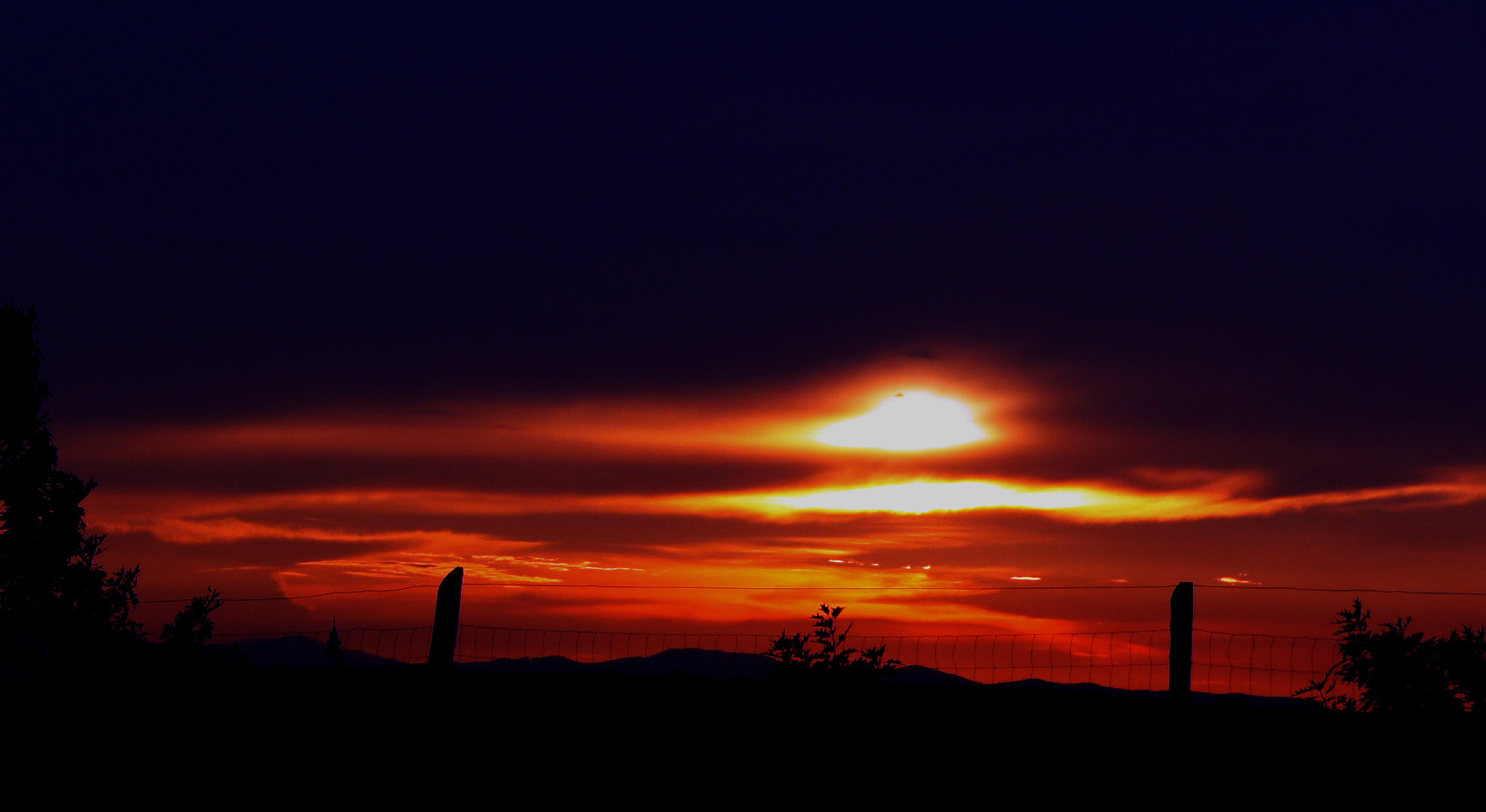 Sony Alpha DSLR-A550 sample photo