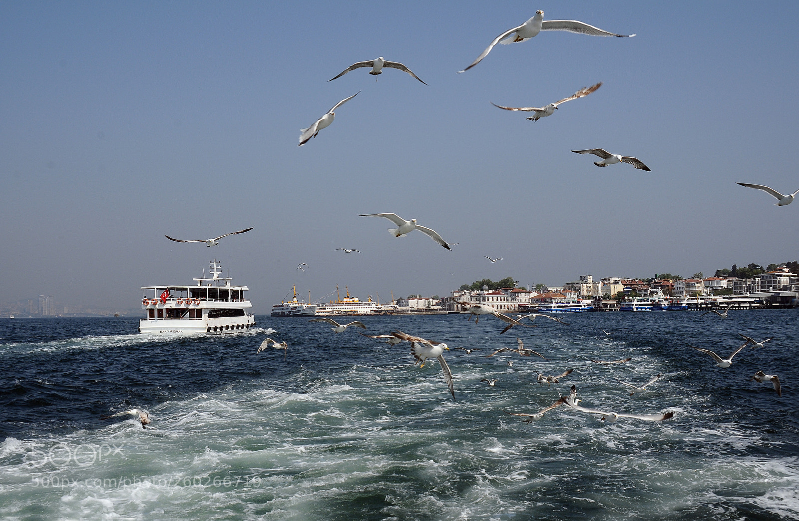 Nikon D300 sample photo. Princes island (turkİye) photography