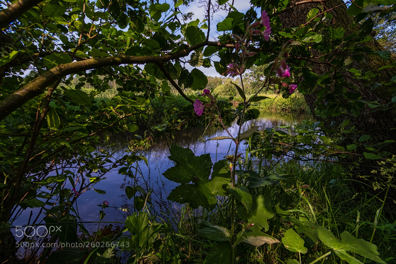Fujifilm X-H1 sample photo. Dutch landscape photography