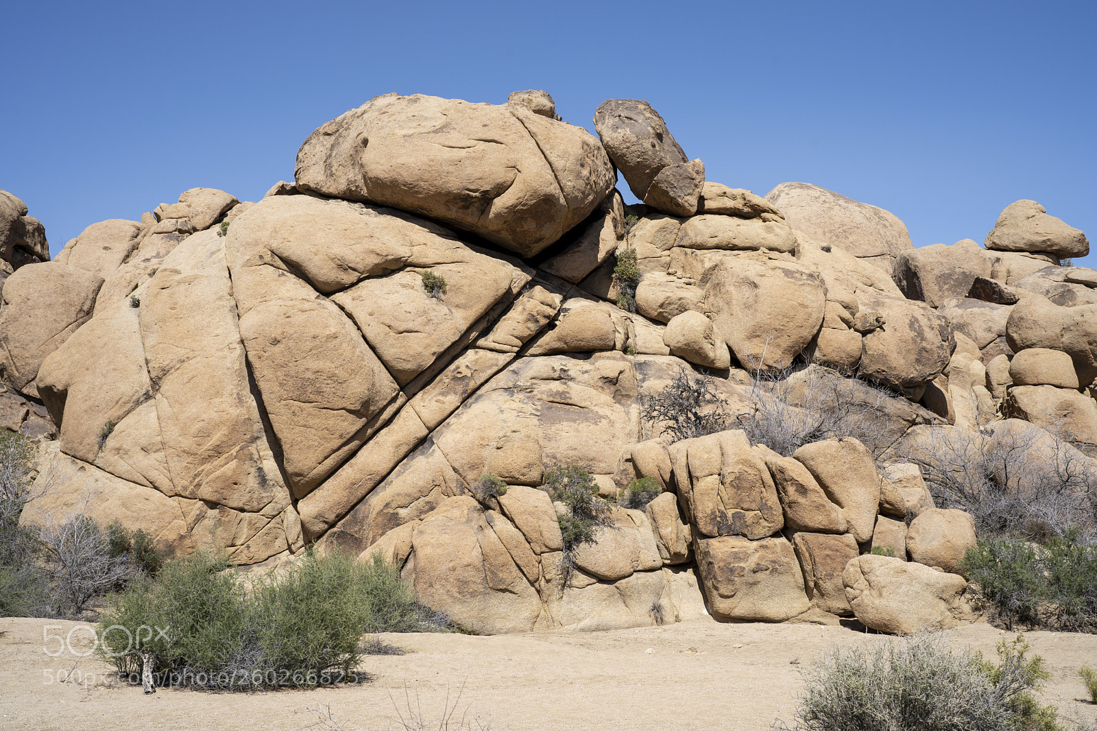 Sony a7 III sample photo. Joshua tree boulders photography