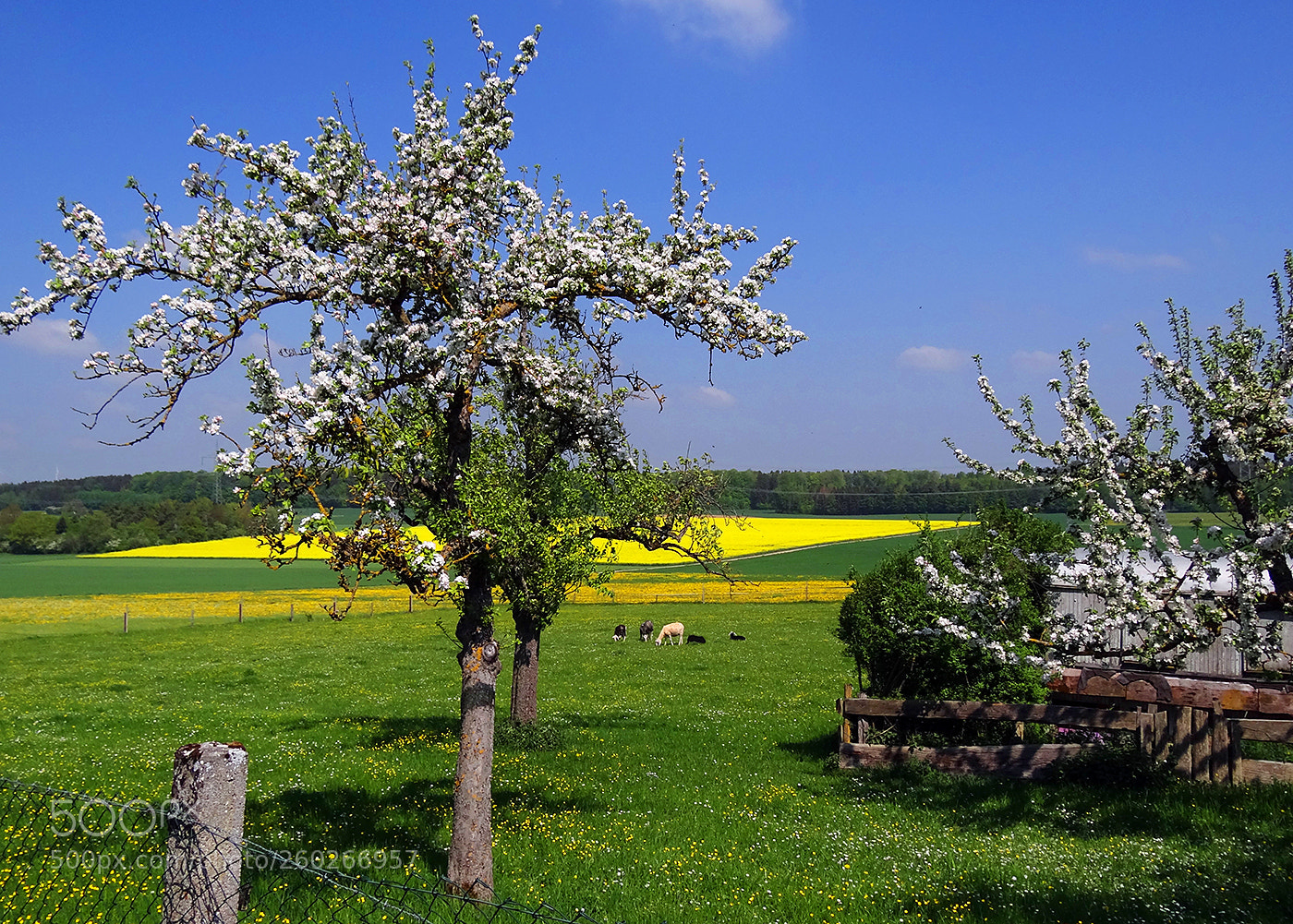 Sony Cyber-shot DSC-HX100V sample photo. ... countryside ... photography
