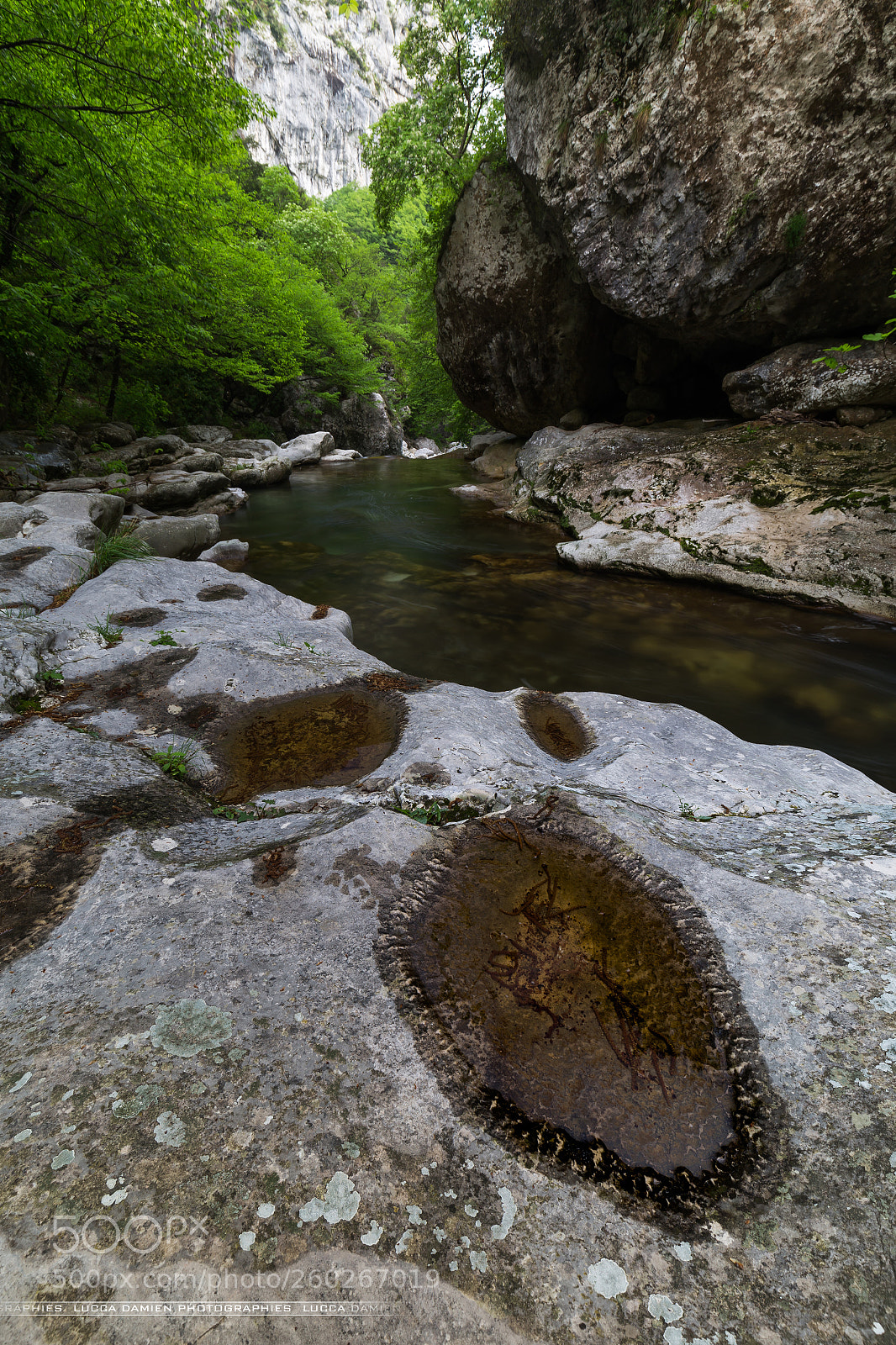 Canon EOS 6D sample photo. So green photography