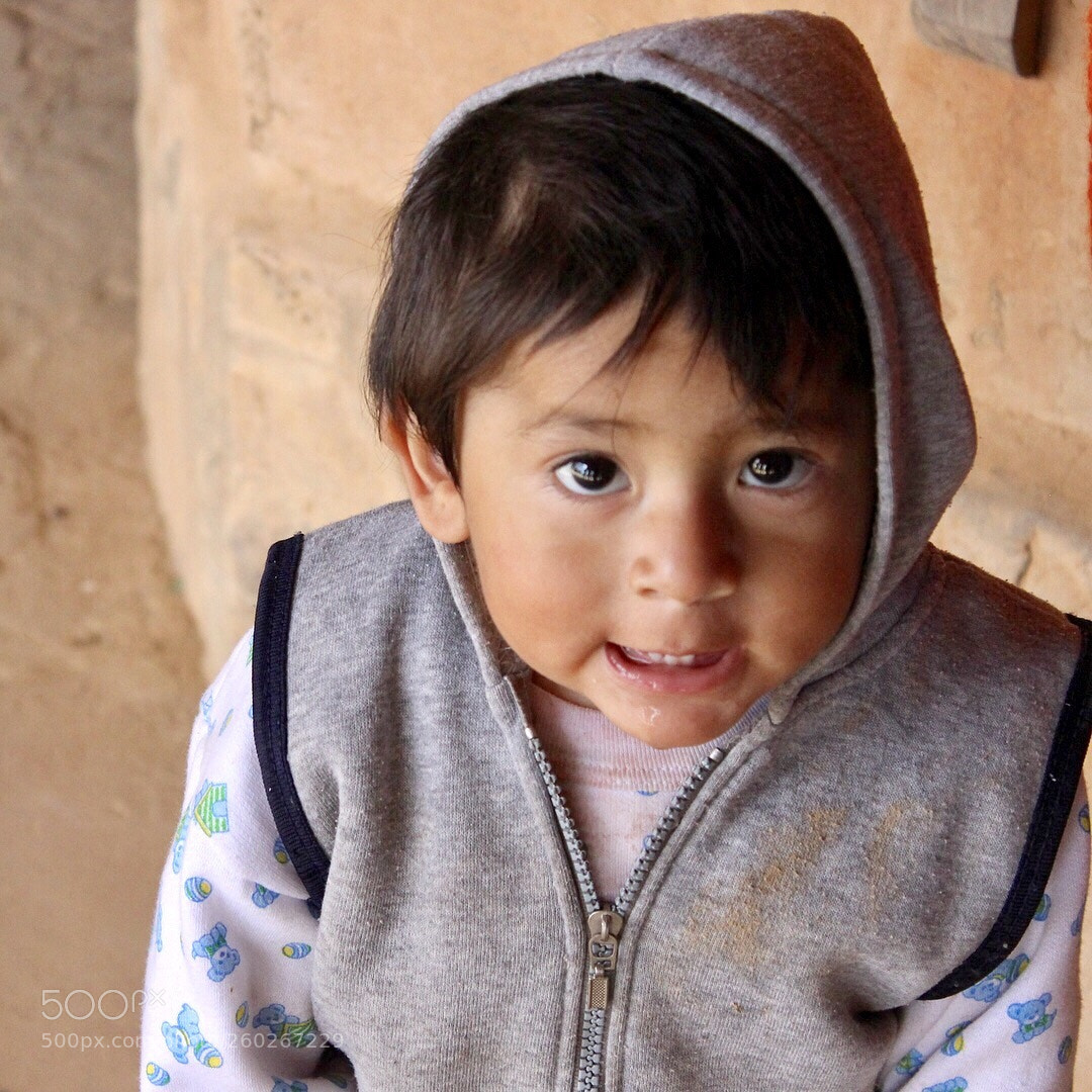Canon EOS 600D (Rebel EOS T3i / EOS Kiss X5) sample photo. Inca photography
