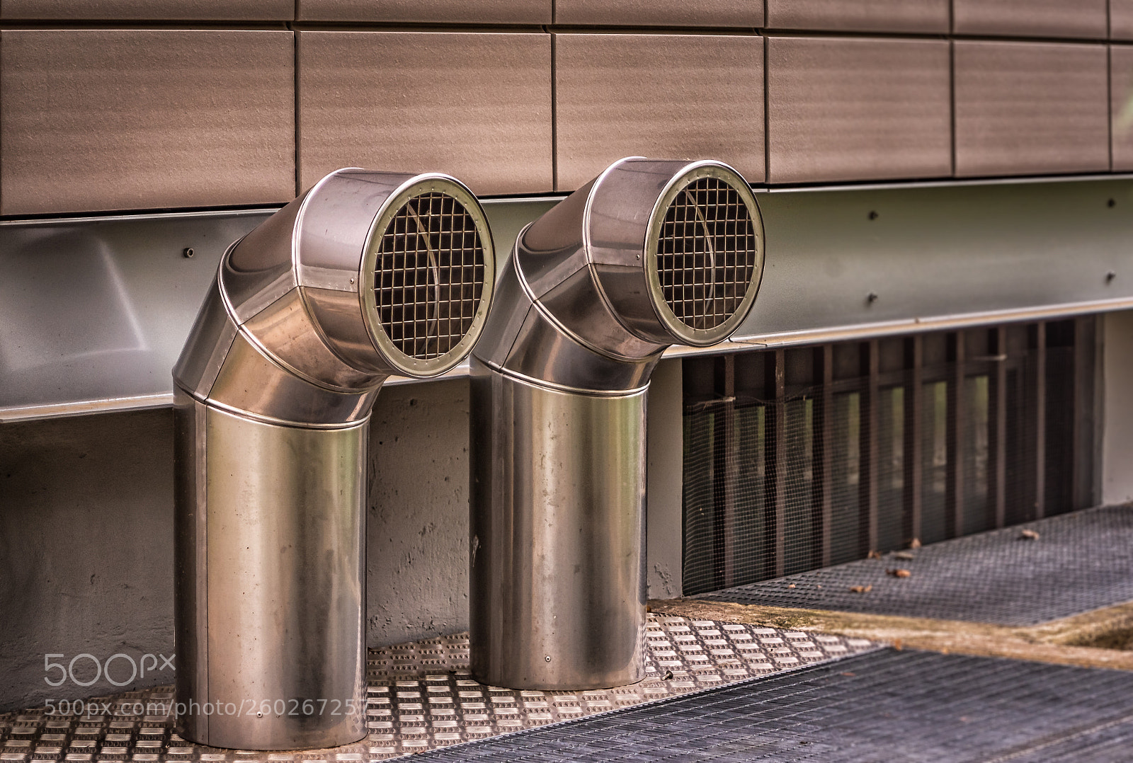 Nikon D750 sample photo. Fresh air photography