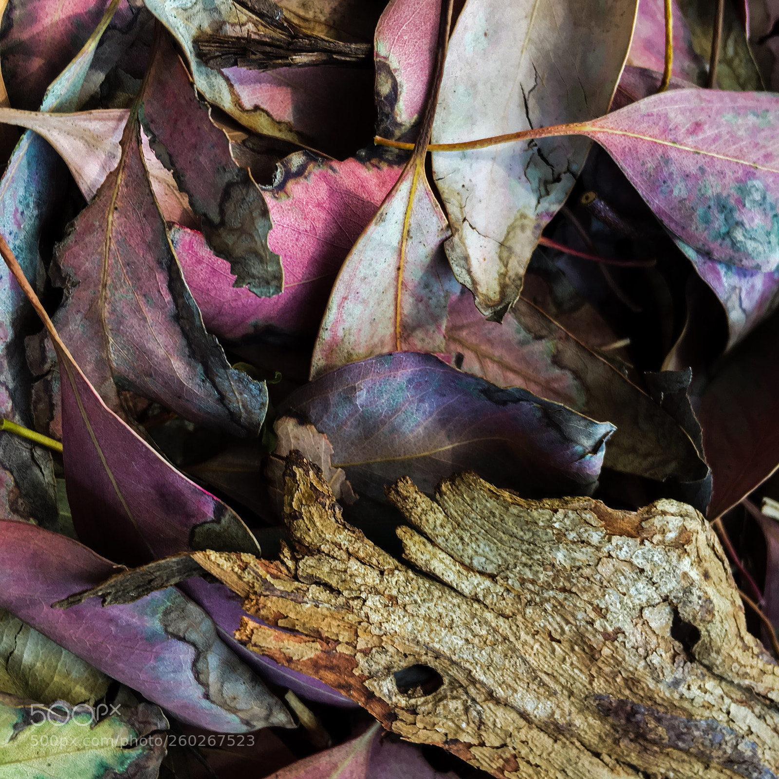 Apple iPhone 6s sample photo. Piles and piles of photography