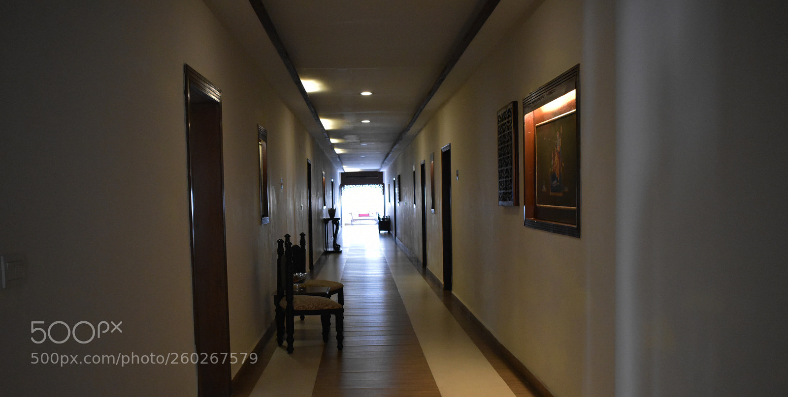 Nikon D5600 sample photo. Movie scene dupes la photography