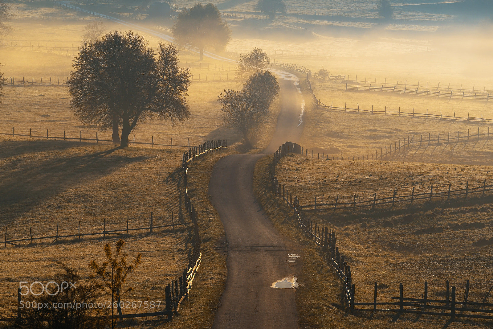 Sony a7R II sample photo. Golden valley photography
