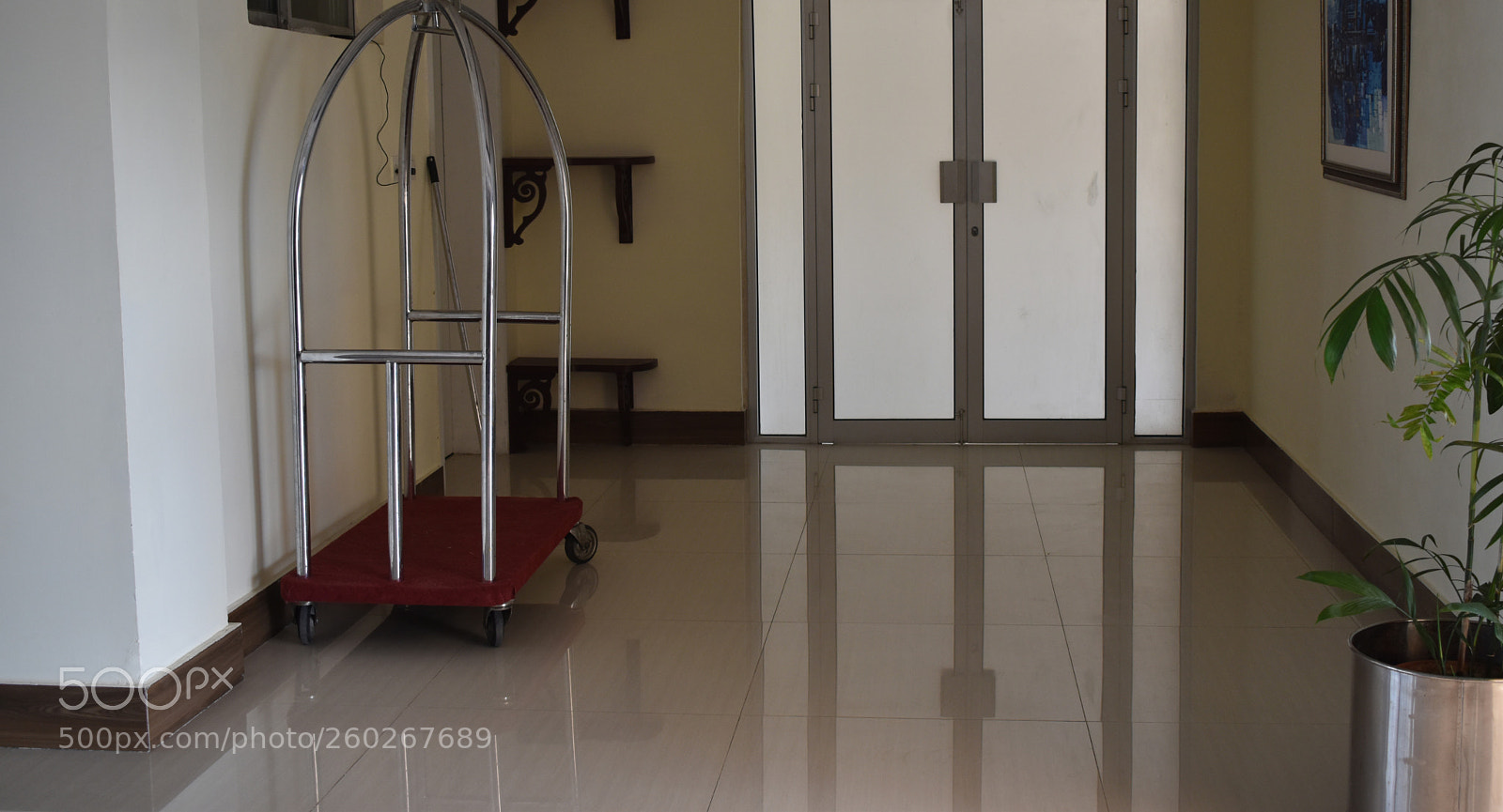 Nikon D5600 sample photo. Movie scene dupes la photography