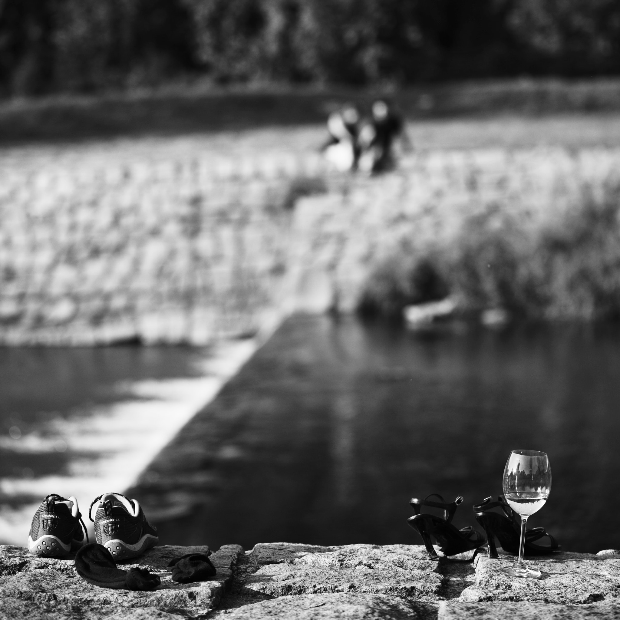 Canon EF 100mm F2.8L Macro IS USM sample photo. Forgotten wine photography
