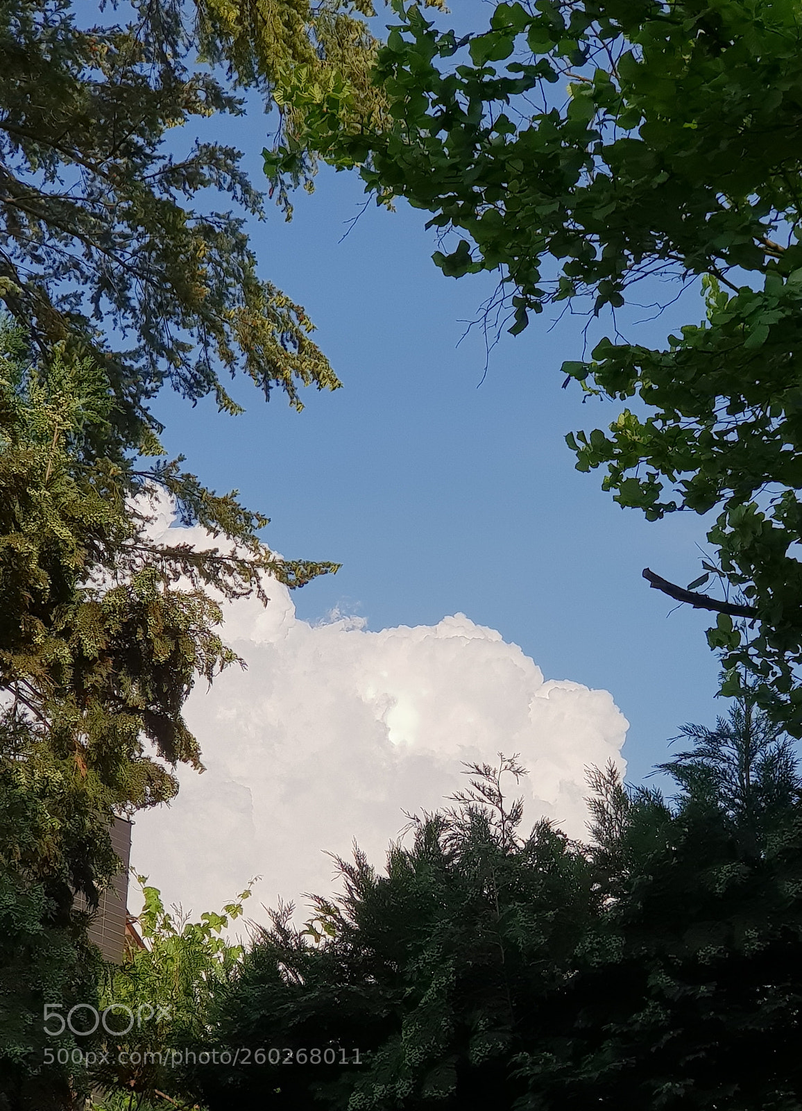 Samsung Galaxy S9+ sample photo. Untitled photography