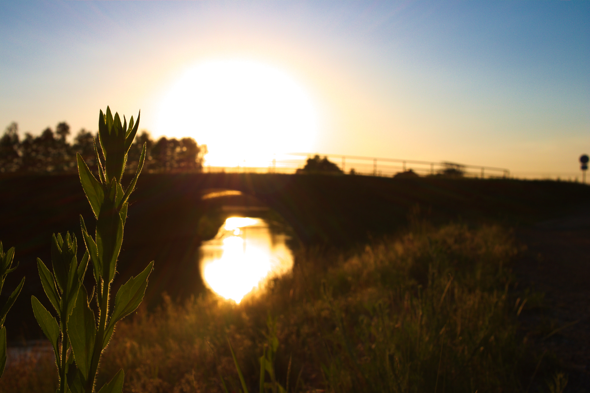 Canon EF-S 24mm F2.8 STM sample photo