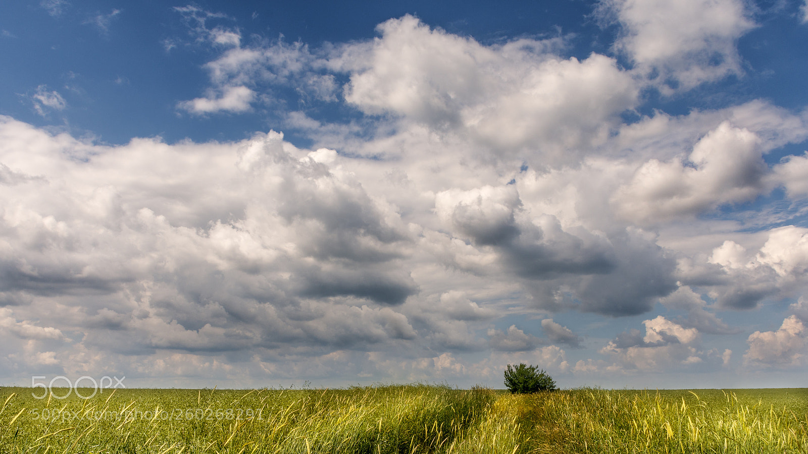 Nikon D7200 sample photo. Dancing clouds over lonesome photography