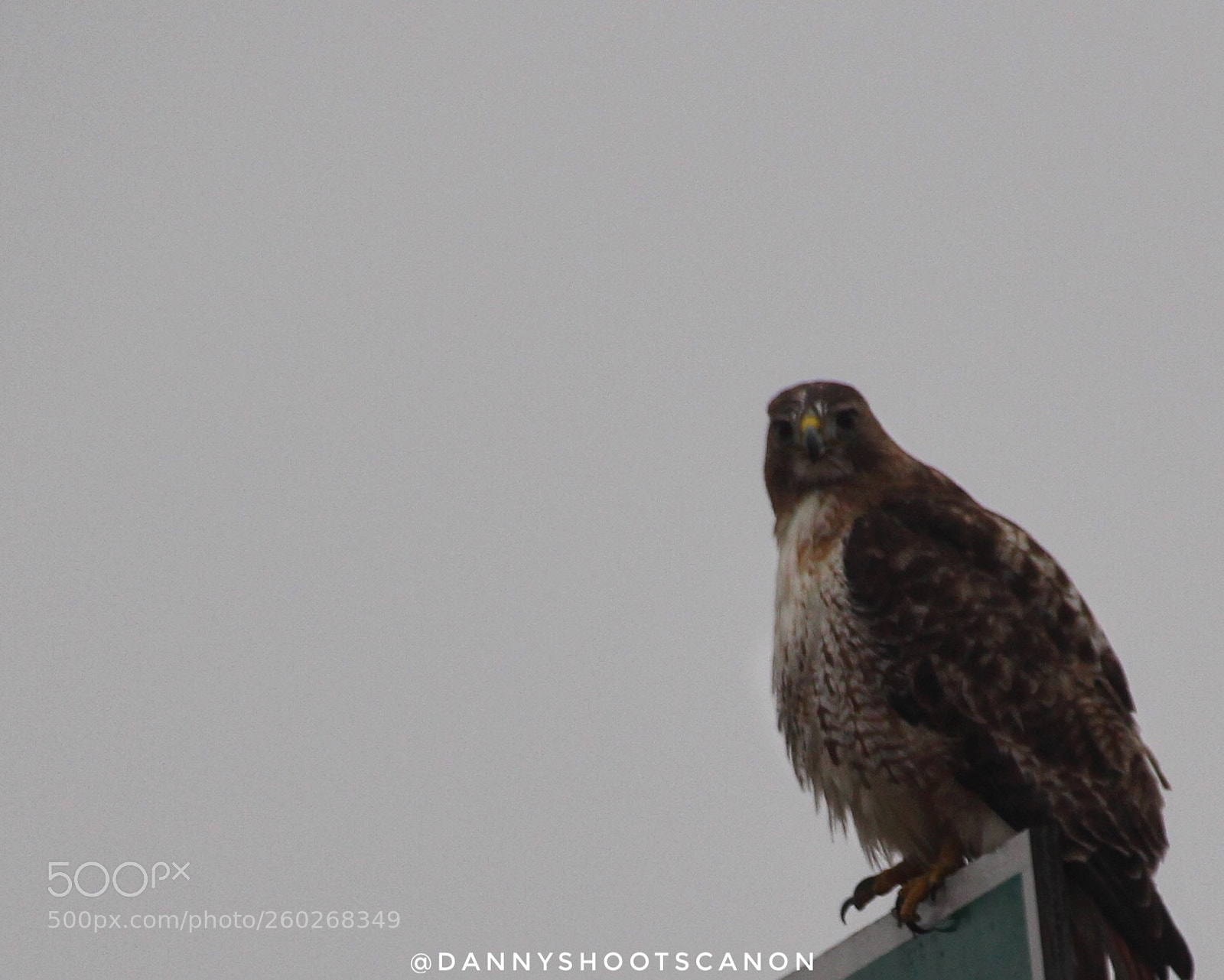 Canon EOS 700D (EOS Rebel T5i / EOS Kiss X7i) sample photo. Untitled photography