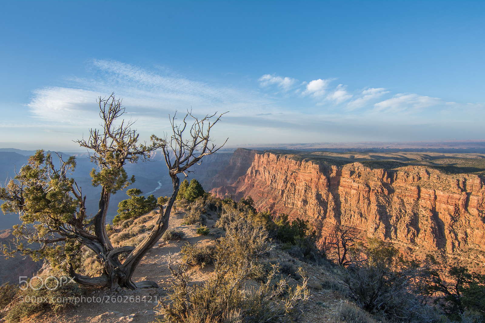 Nikon D7100 sample photo. Grand canyon photography