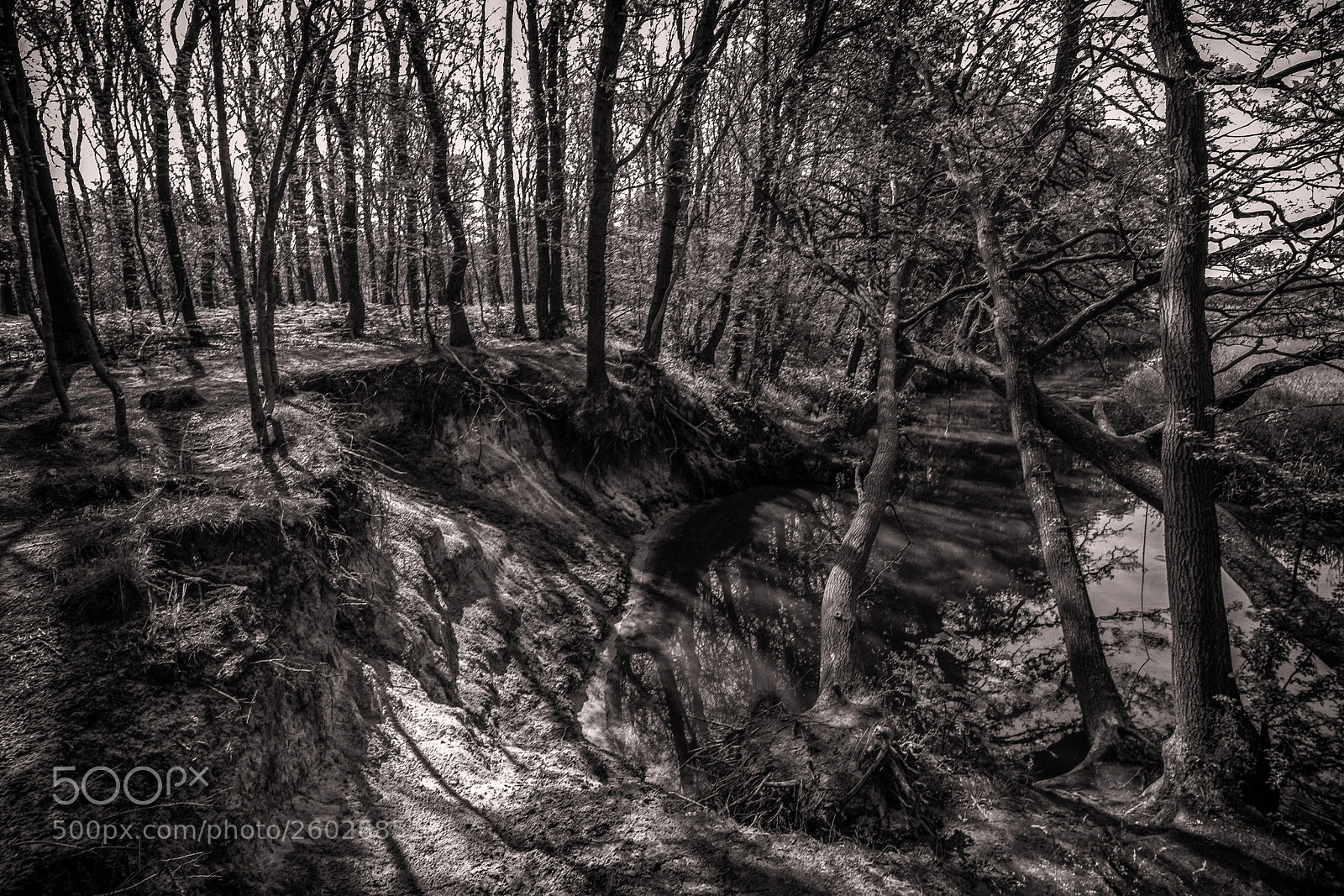 Fujifilm X-H1 sample photo. Dutch landscape photography